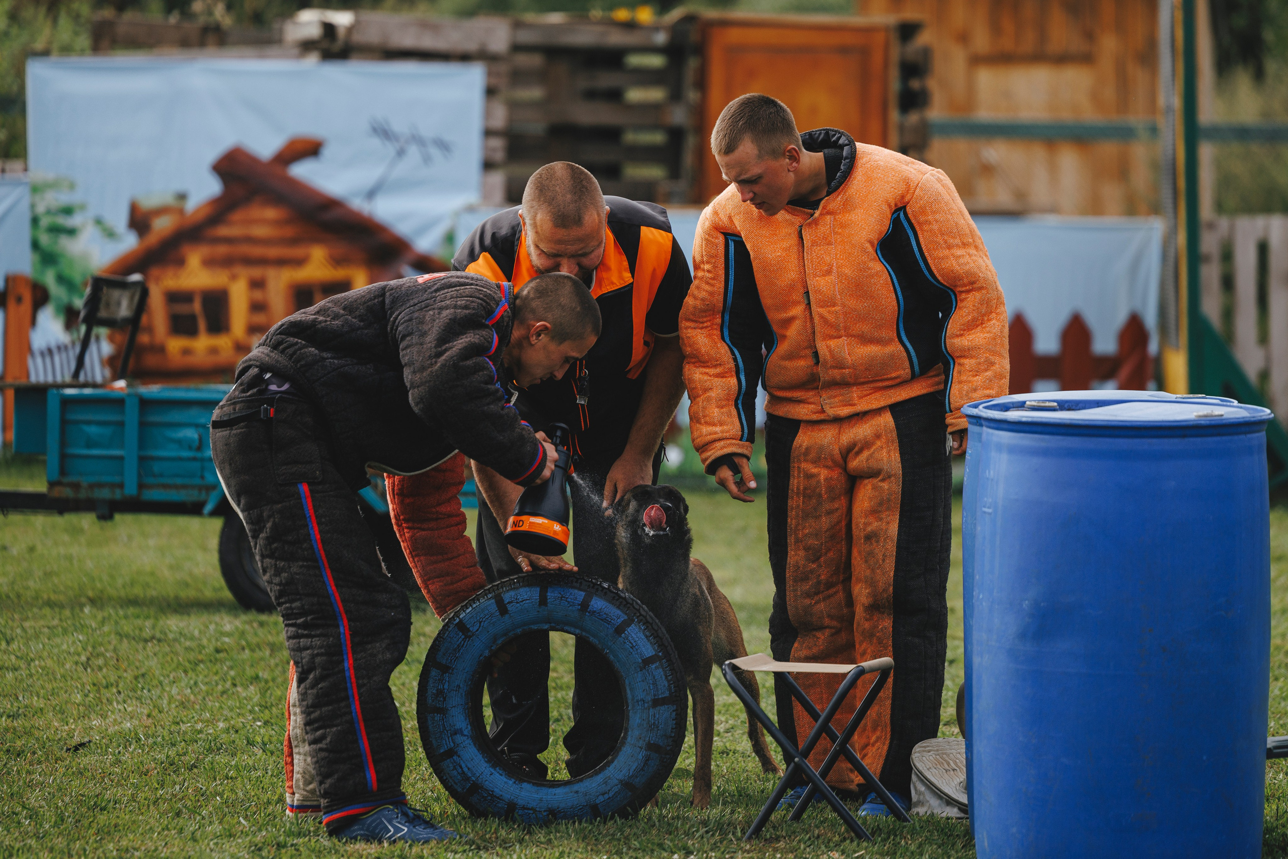 08.08.25-10.08.25 ЧР по мондьорингу г. Вологда. Фотограф-анималист Анна Маринич