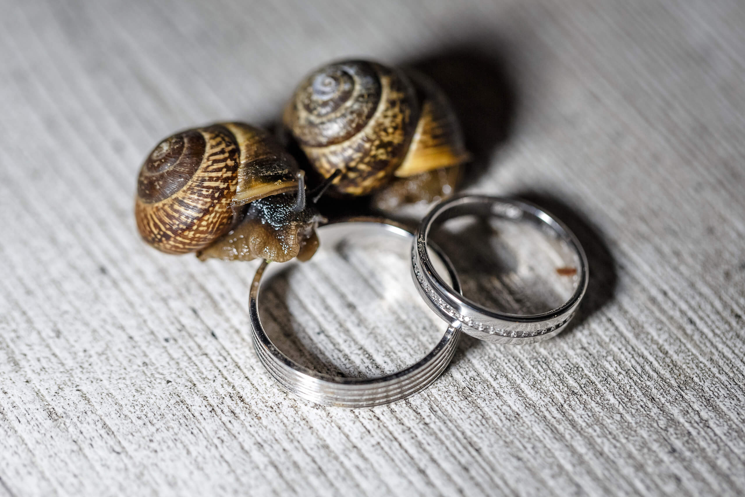 E&M Jul'22. Фотограф Максим Каразеев