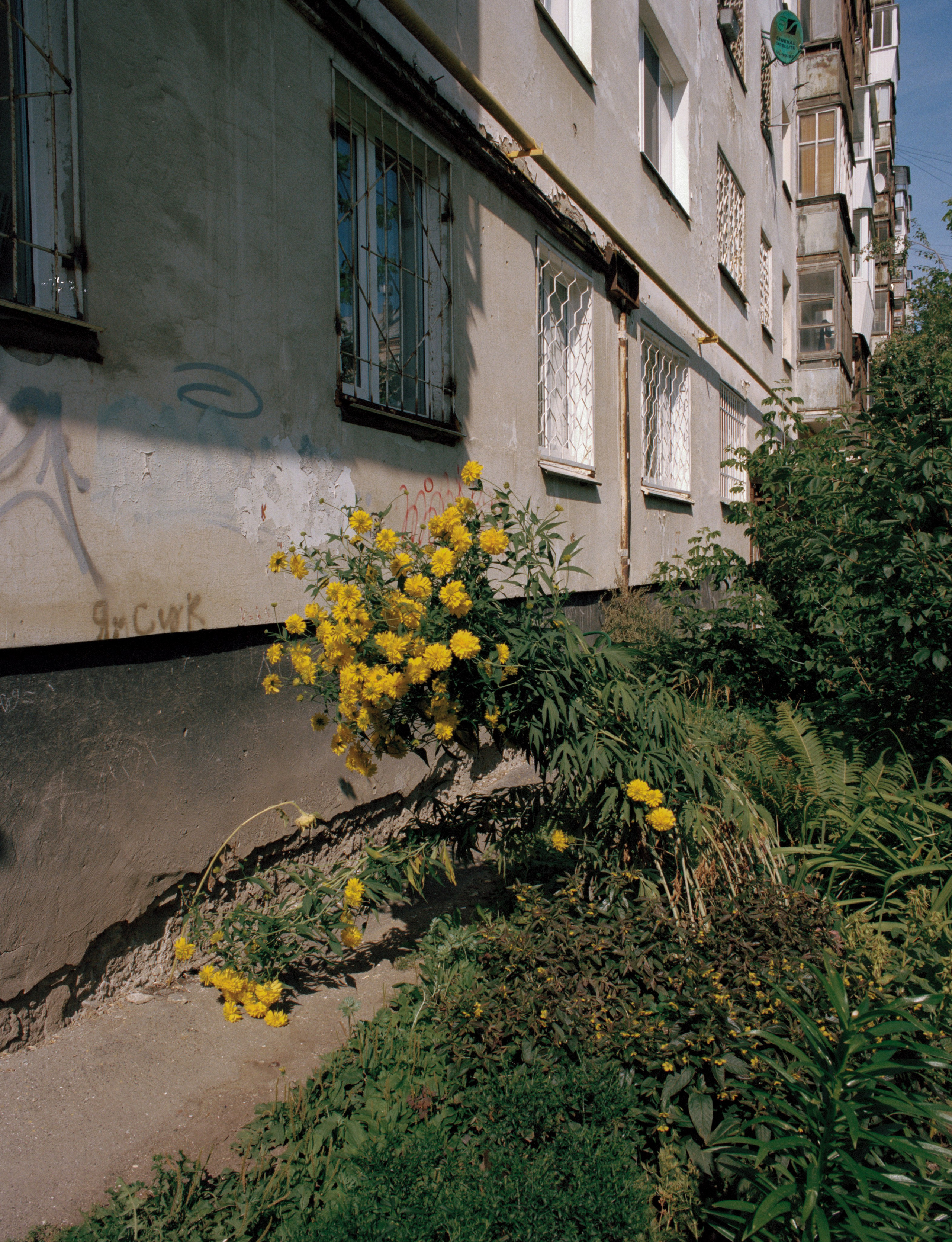 Seeker. Breus Sasha photography & art