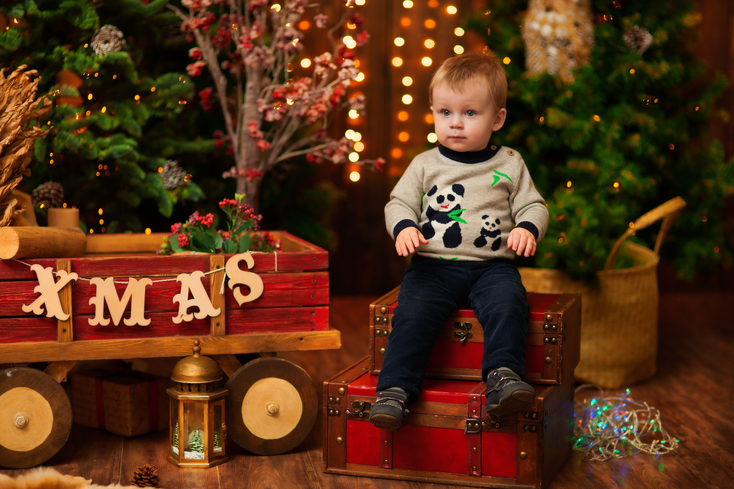 Новогодний альбом. Фотограф Инга Твердова