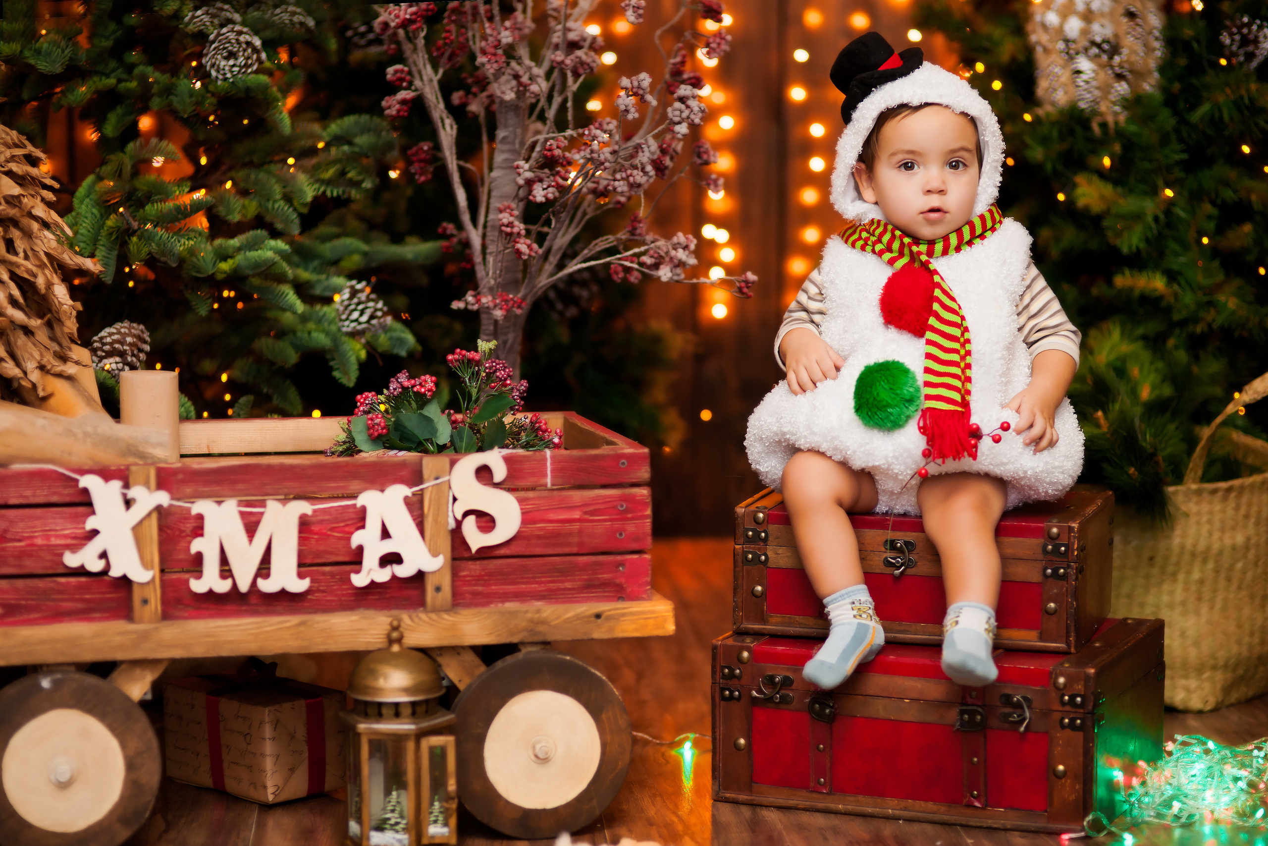 Новогодний альбом. Фотограф Инга Твердова