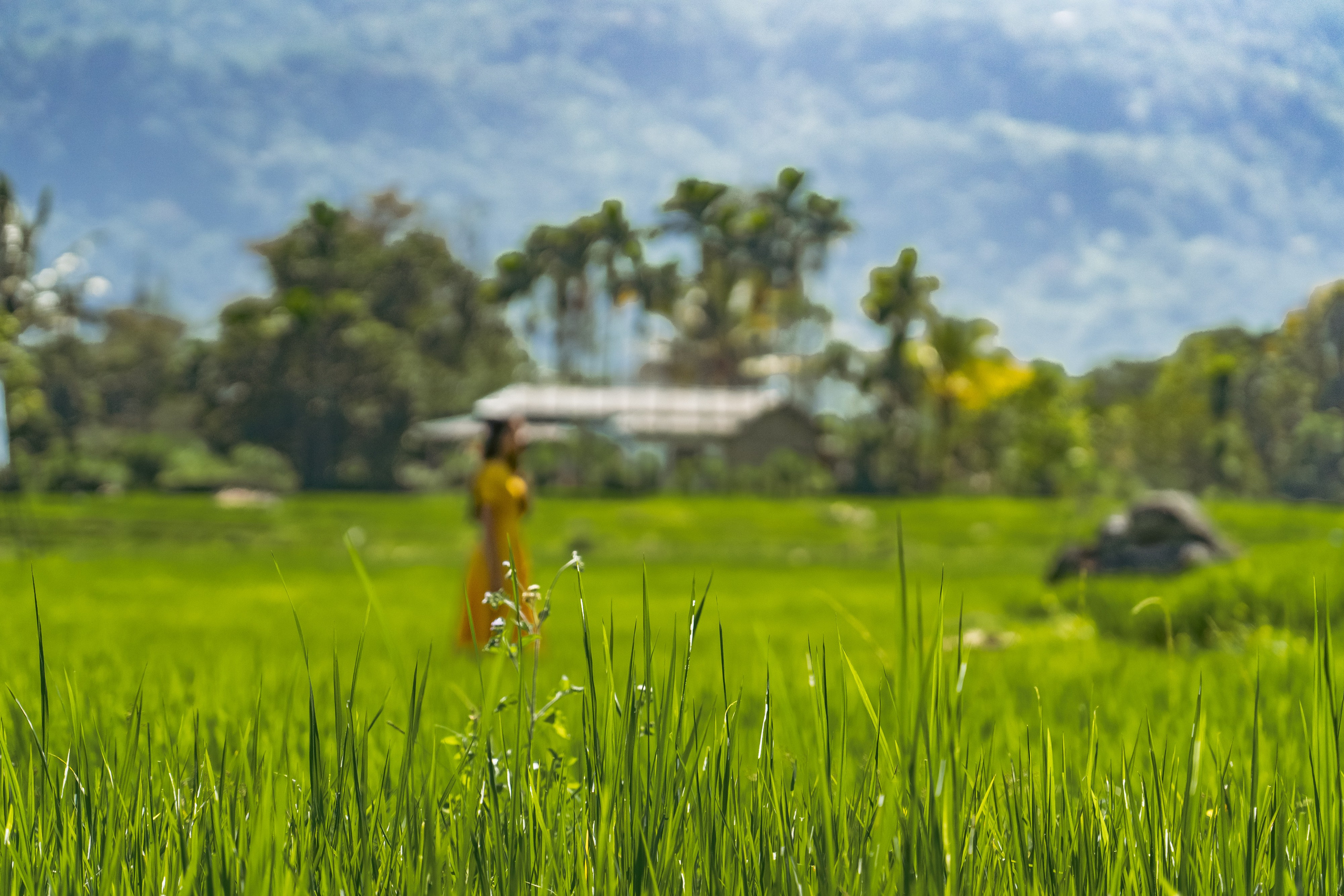 Promo content shooting for Ceylon Forward Tours