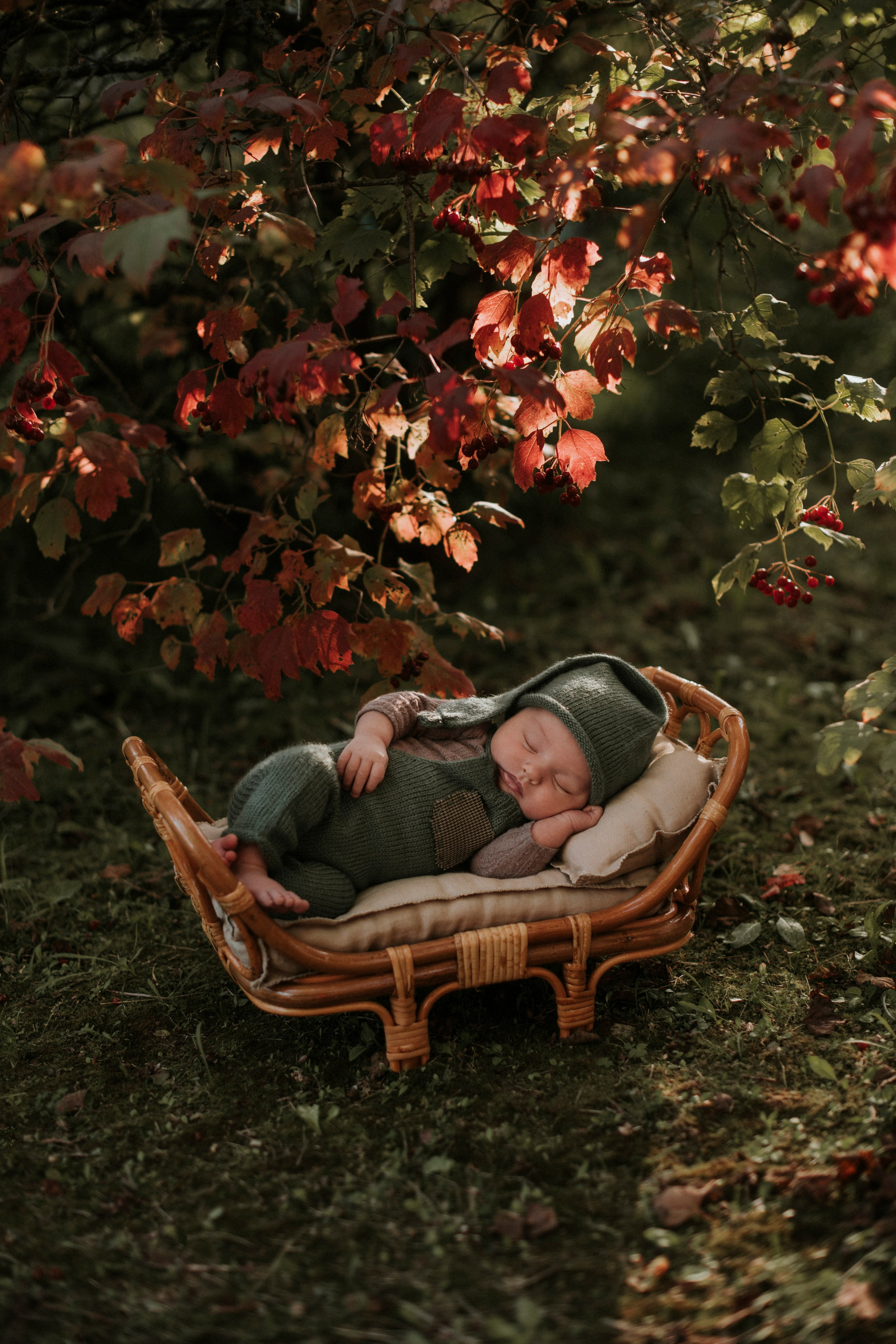 Младенцы. Семейный фотограф в Москве Полина Ситникова