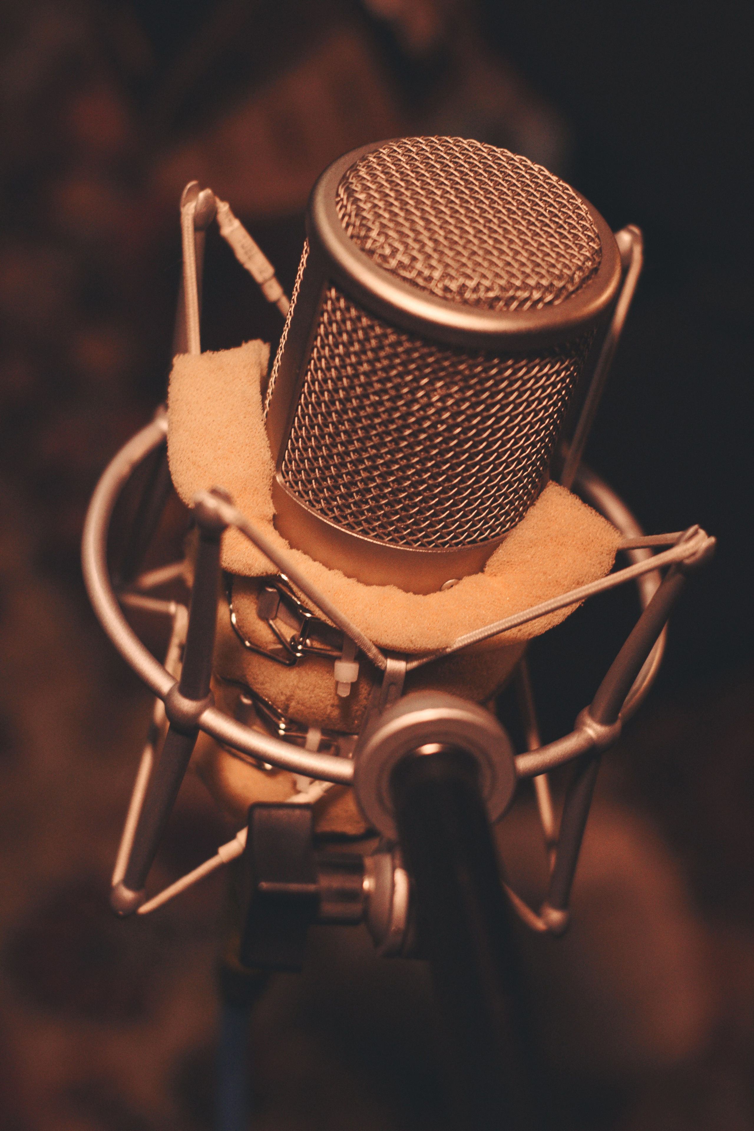 Голова Муэссы/Параметрика — Запись Ретроградного Меркурия. Фотография для артистов