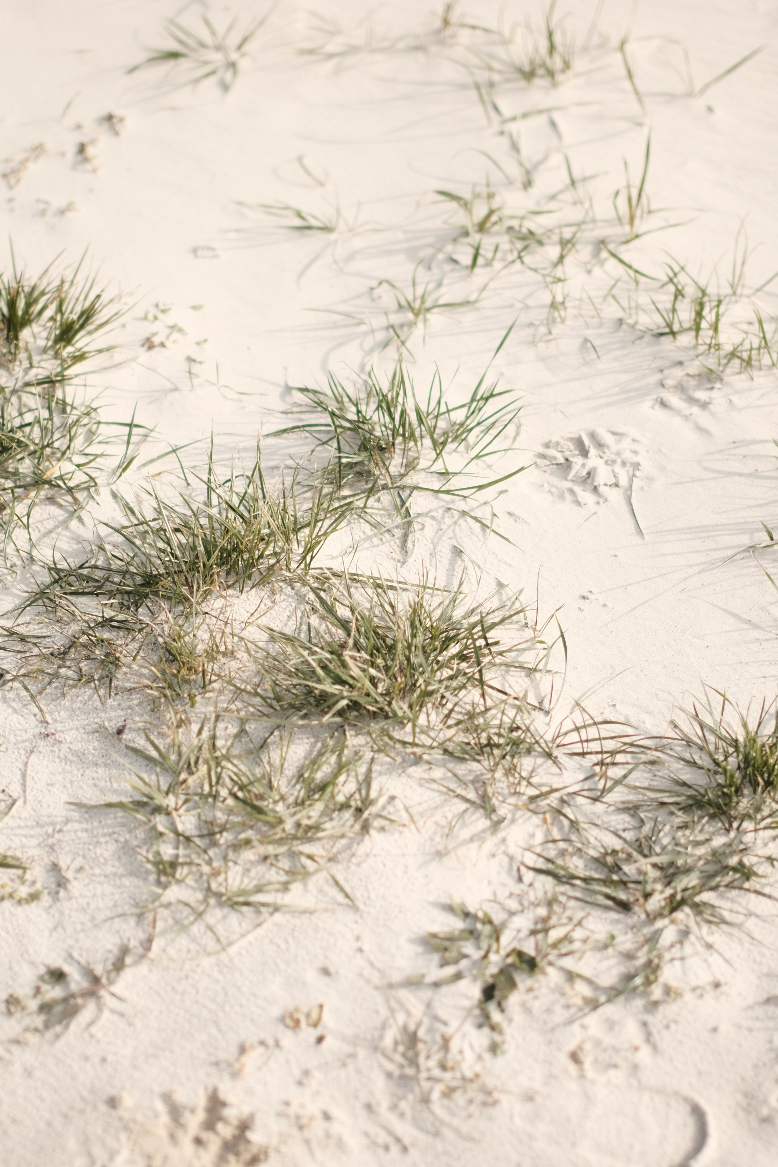 Street. Свадебный фотограф в Ростове-на-Дону Владимир Пешков