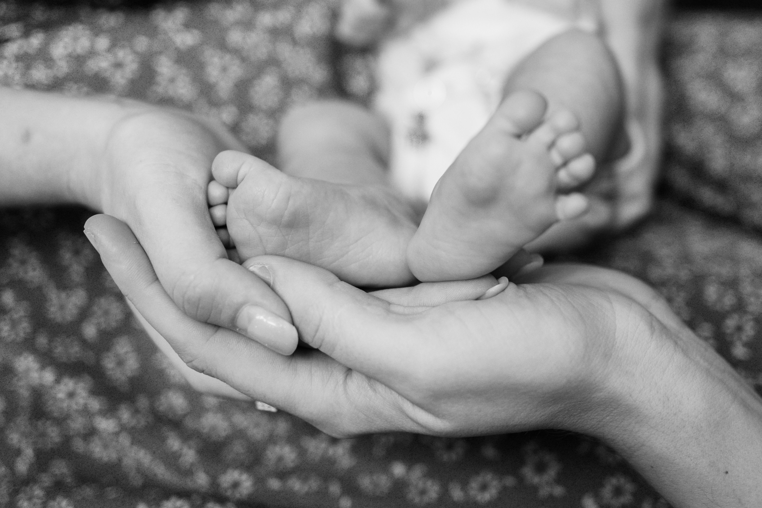 Оля, Коля, Аня, Рита. Фотограф грудного вскармливания в Москве Екатерина