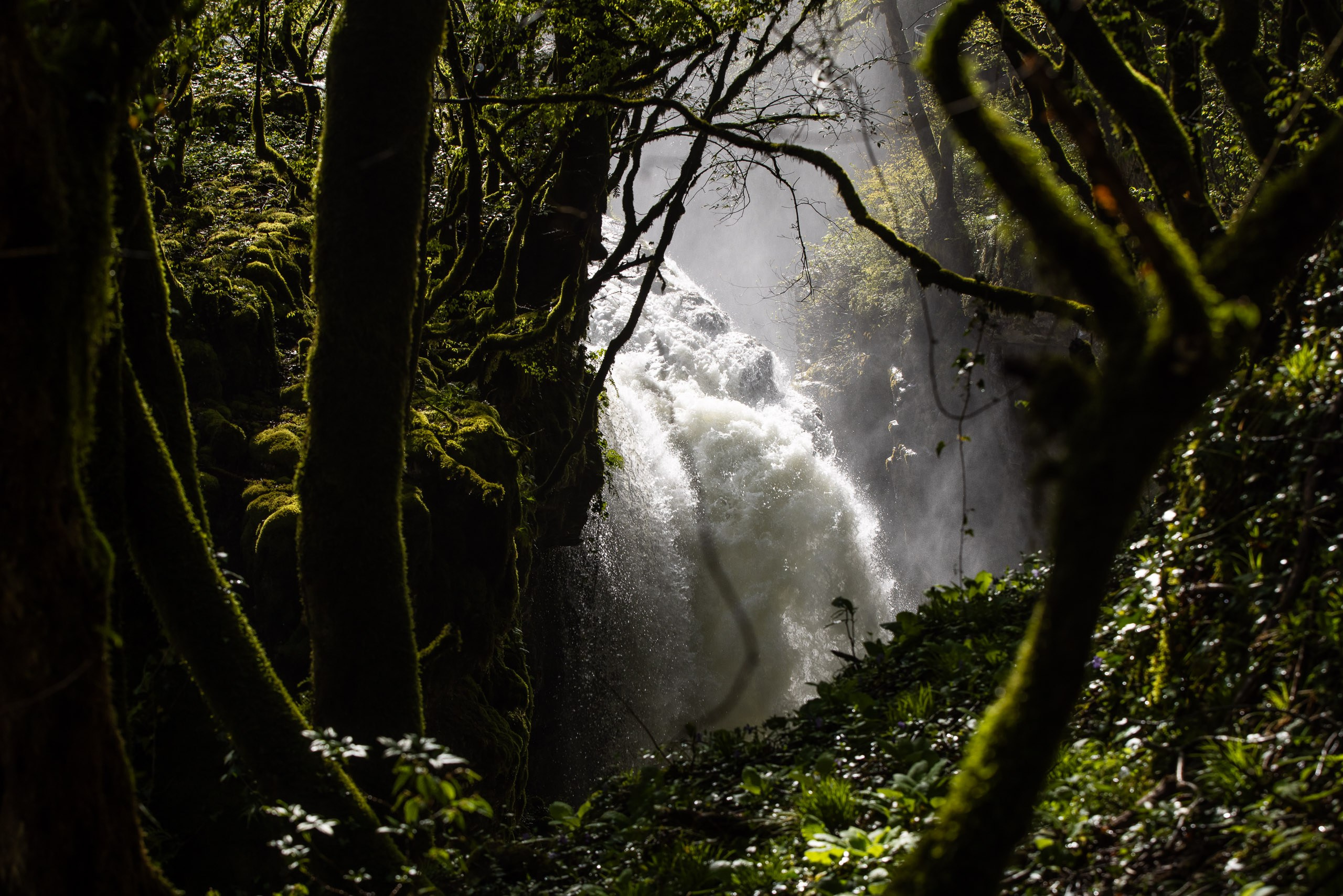 Пейзажная съемка природного заповедника. Промышленный фотограф, фоторепортаж, Россия