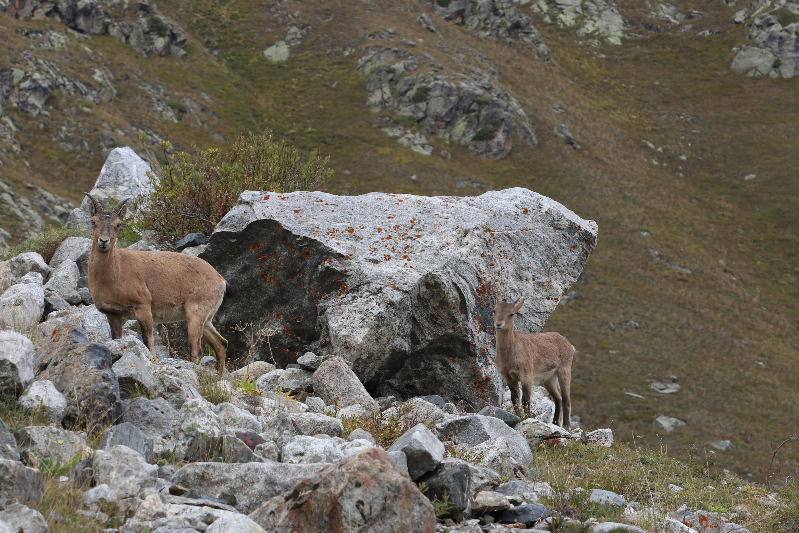 Приэльбрусье. Сентябрь 2023. Путешественник-фотограф из Санкт-Петербурга Татьяна Свистулина