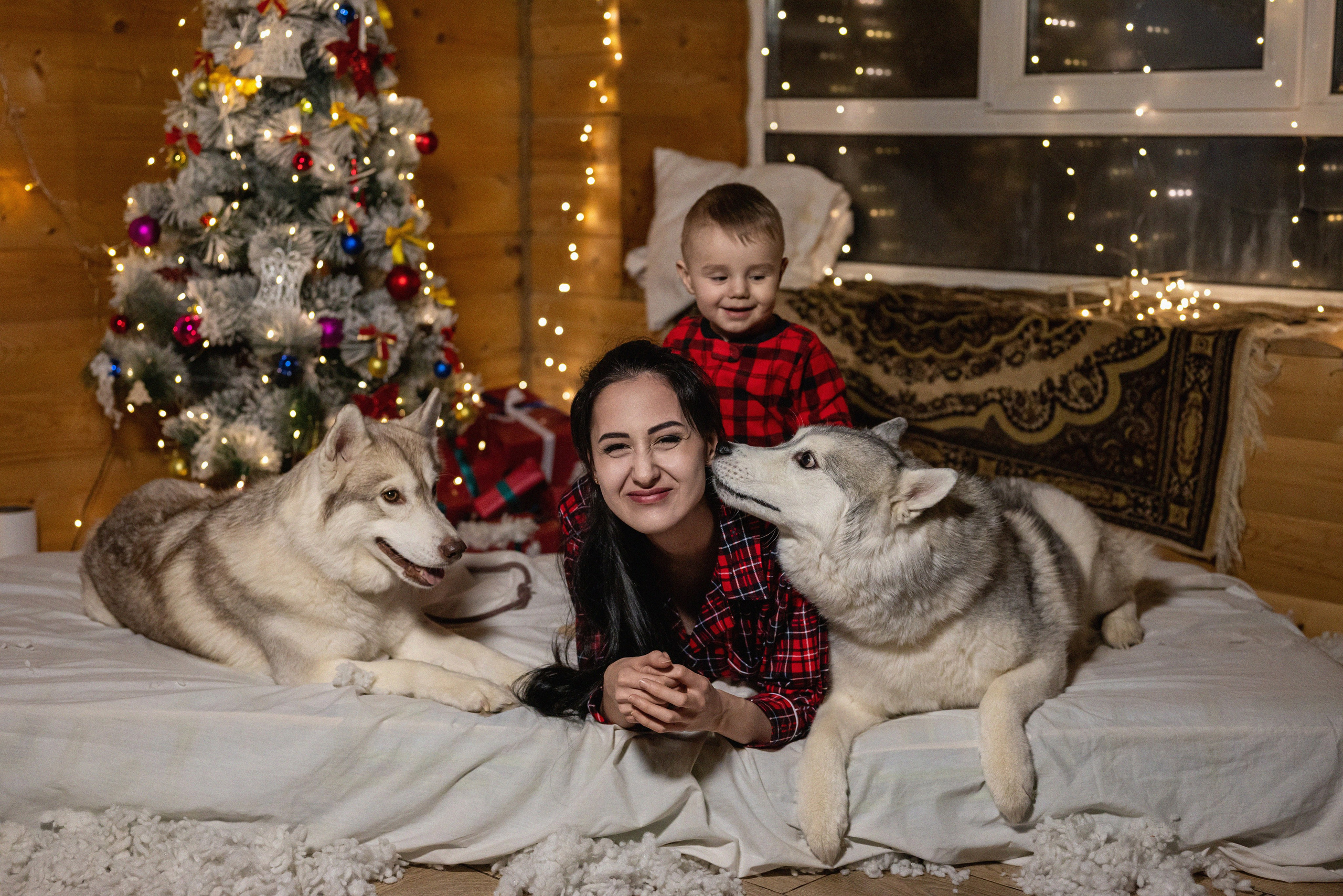 Фотопроект с хаски 2024 г. Фотограф в городе Салават