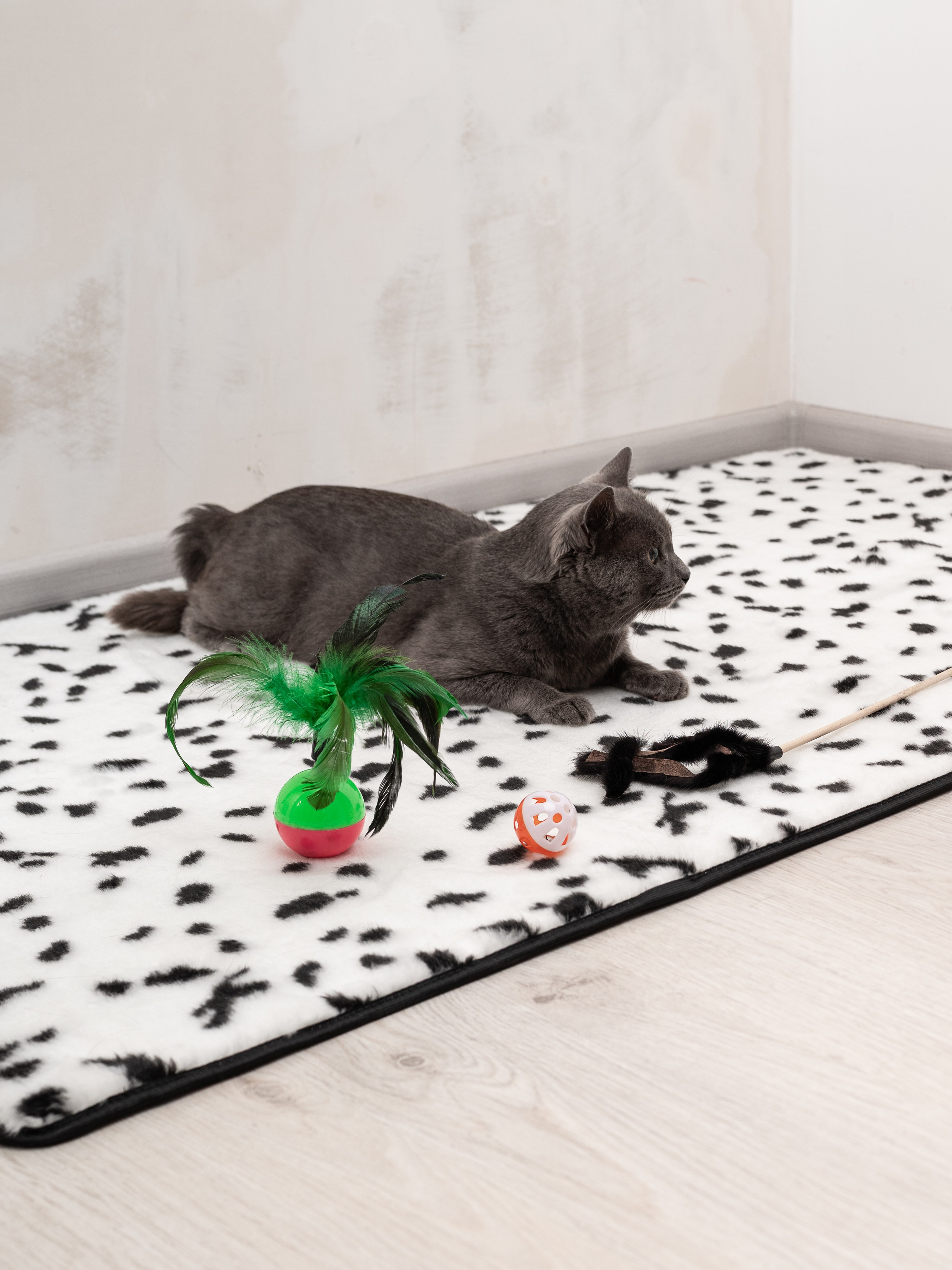 Коврики для дома. Предметный фотограф, фото для маркетплейсов Пятигорск, КМВ