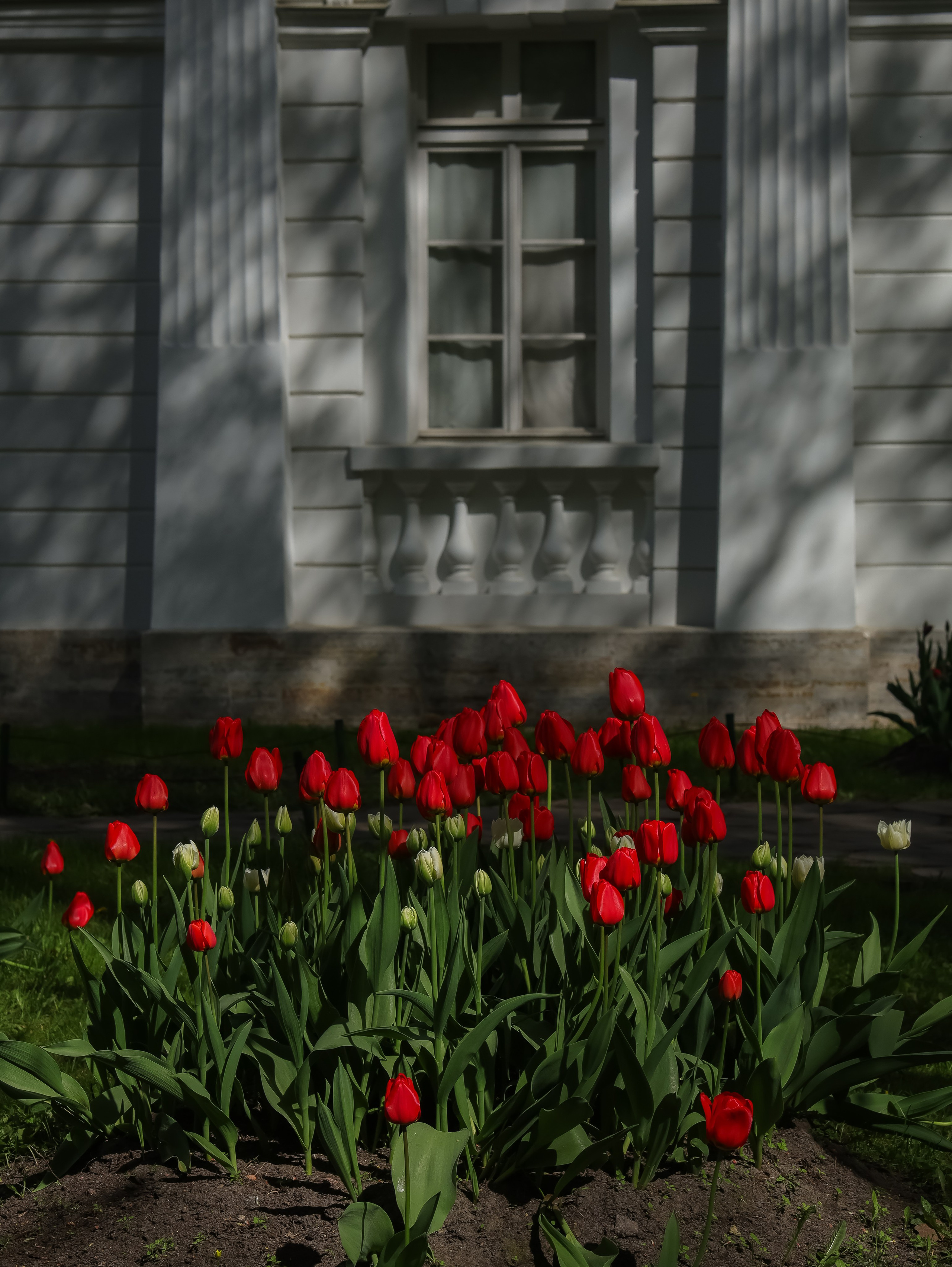 Природа &. Фотохудожник в СПб