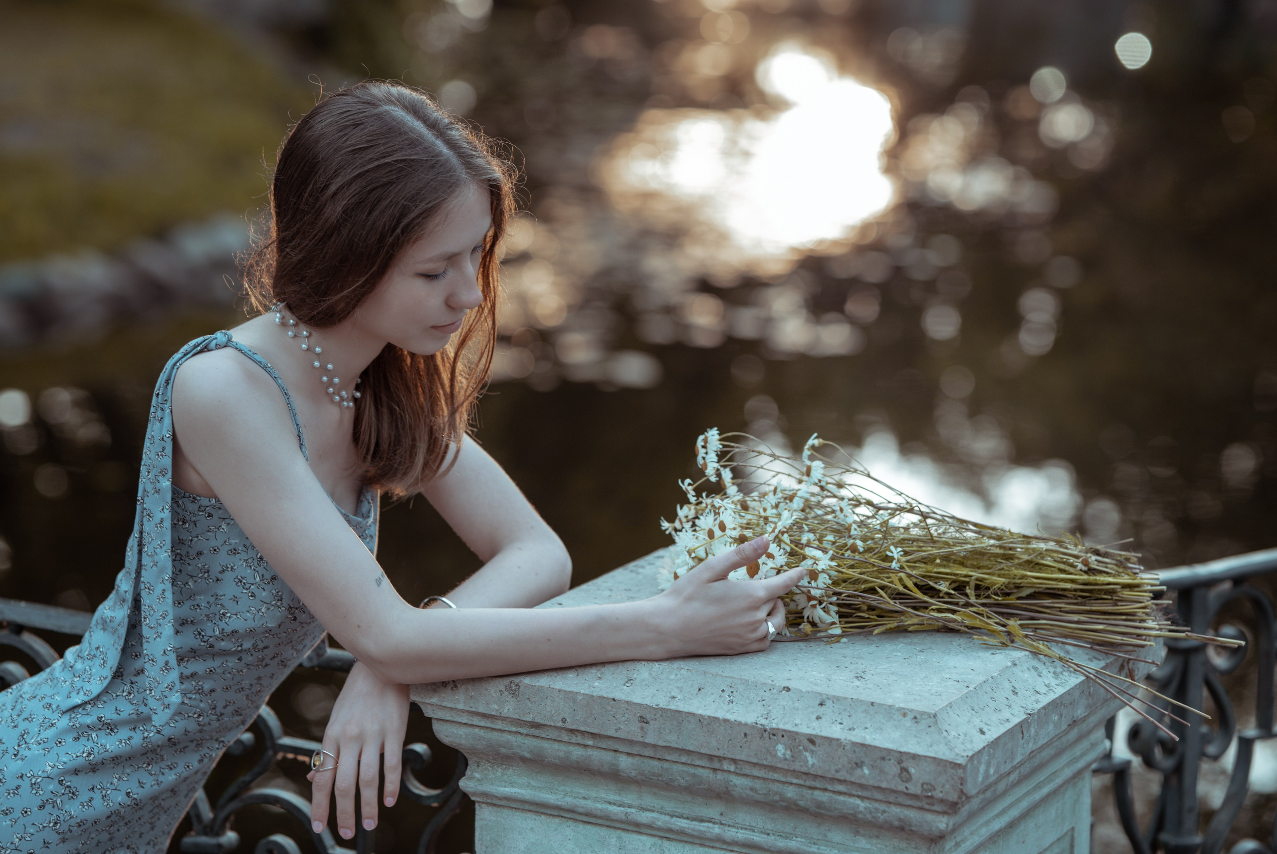 #Белые ночи. Рассвет в Лопухинском саду. Главная