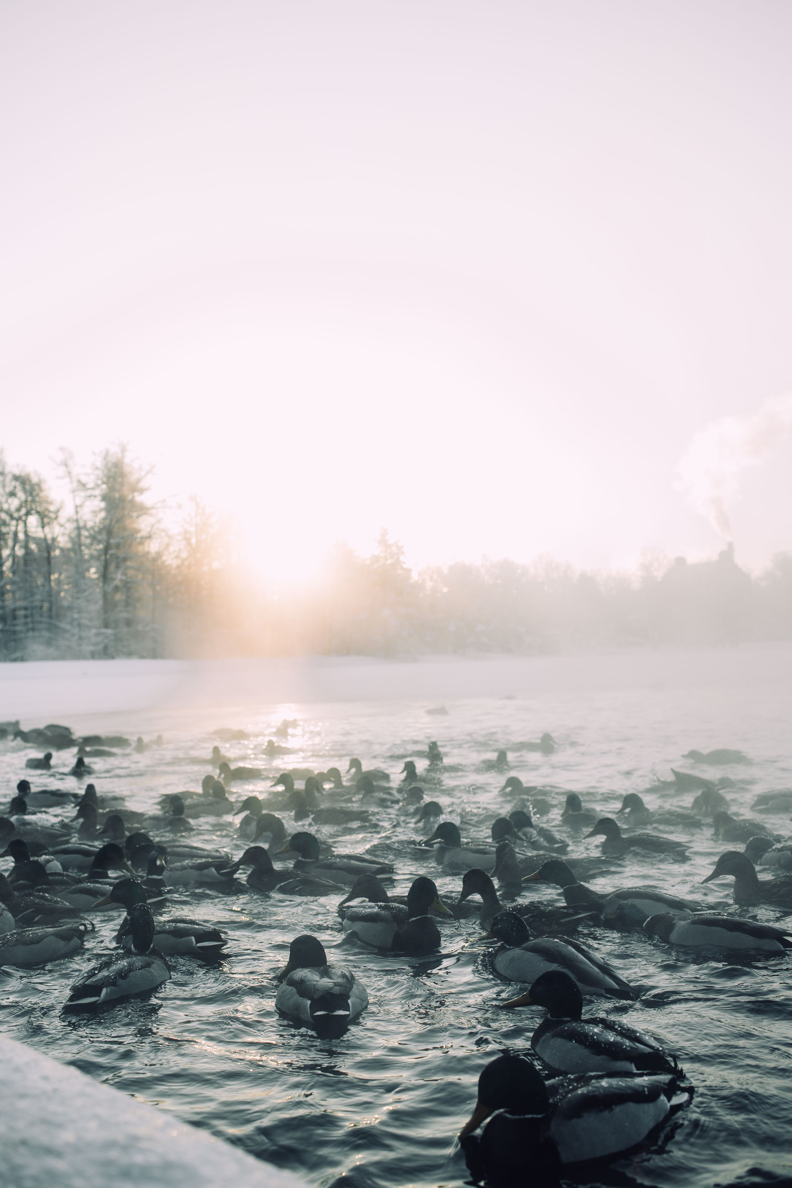 Санкт-Петербург. Фотограф в Минске Анастасия Ткаченко