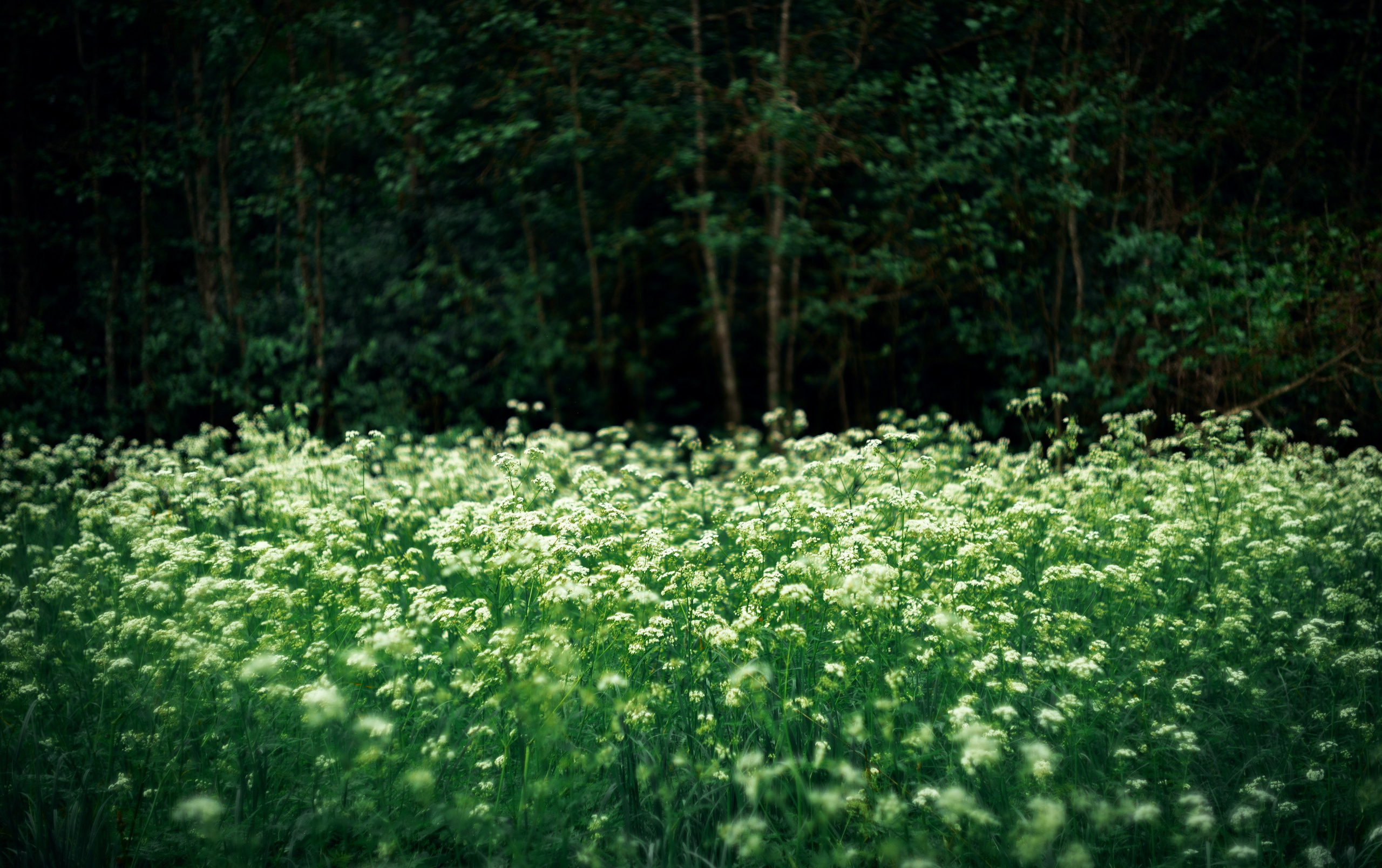 |ph|otographer by DK | Lifestyle | Нижний Тагил