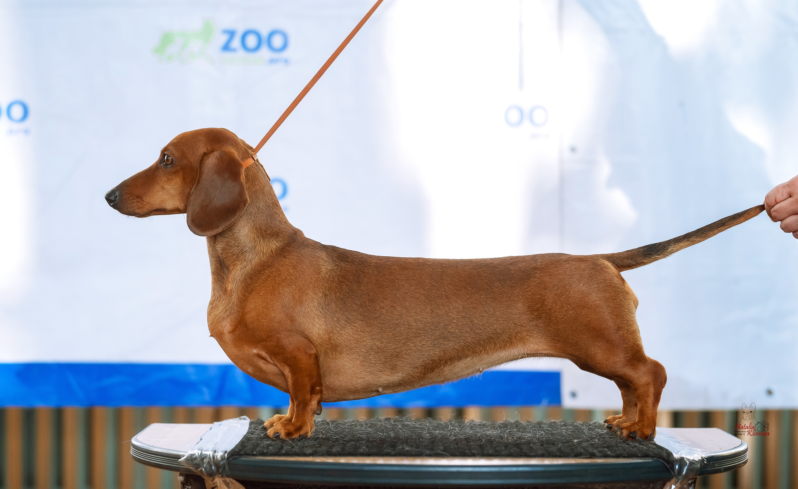 Съемка на выставке