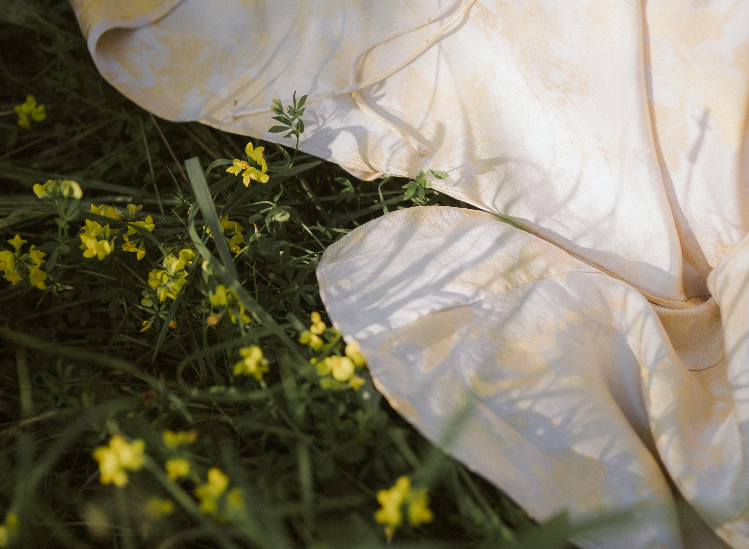 Summer field romance. Фотограф в Алматы Анастасия Новоселова