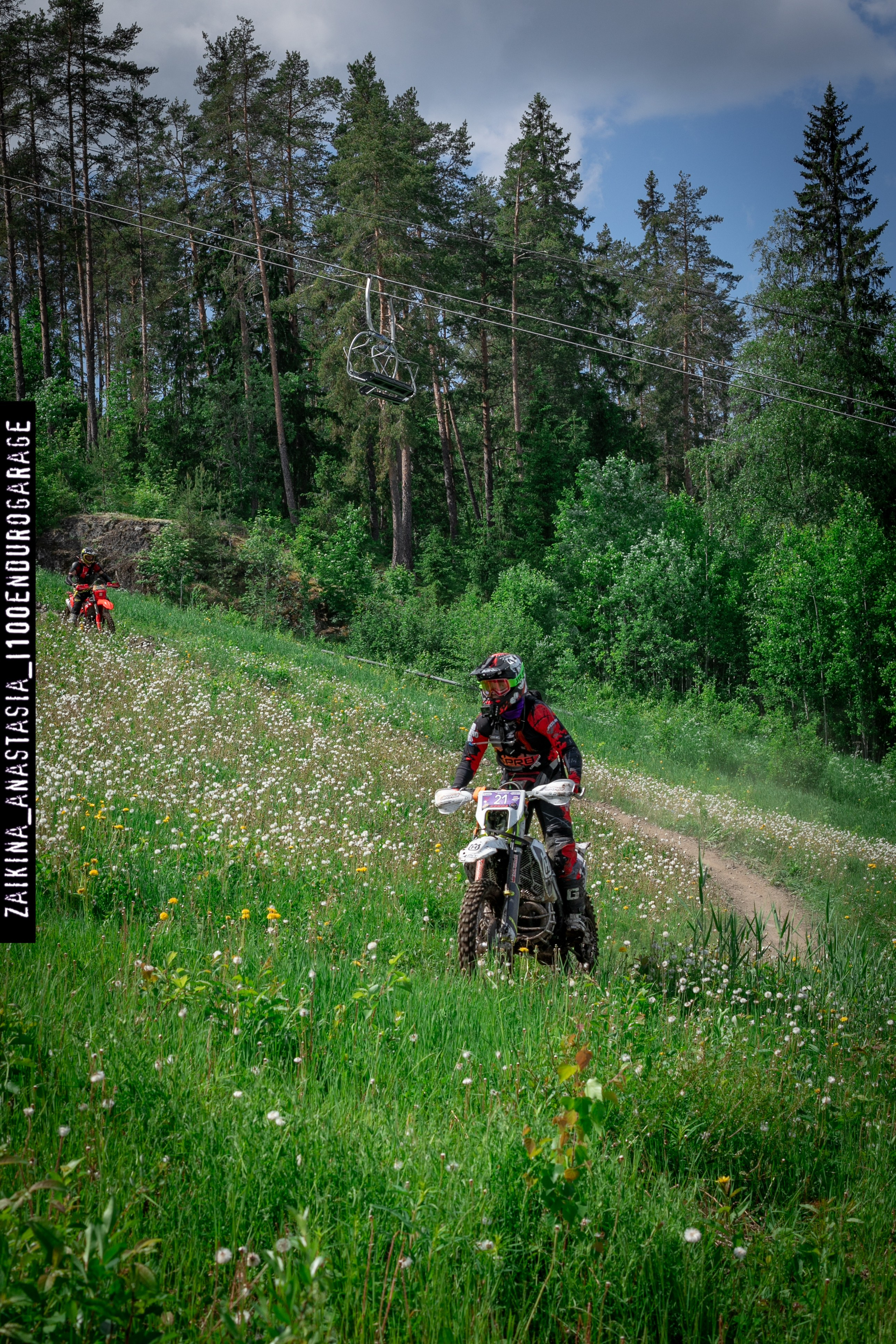 Шустрая Белка 2024. Фотограф Заикина Анастасия