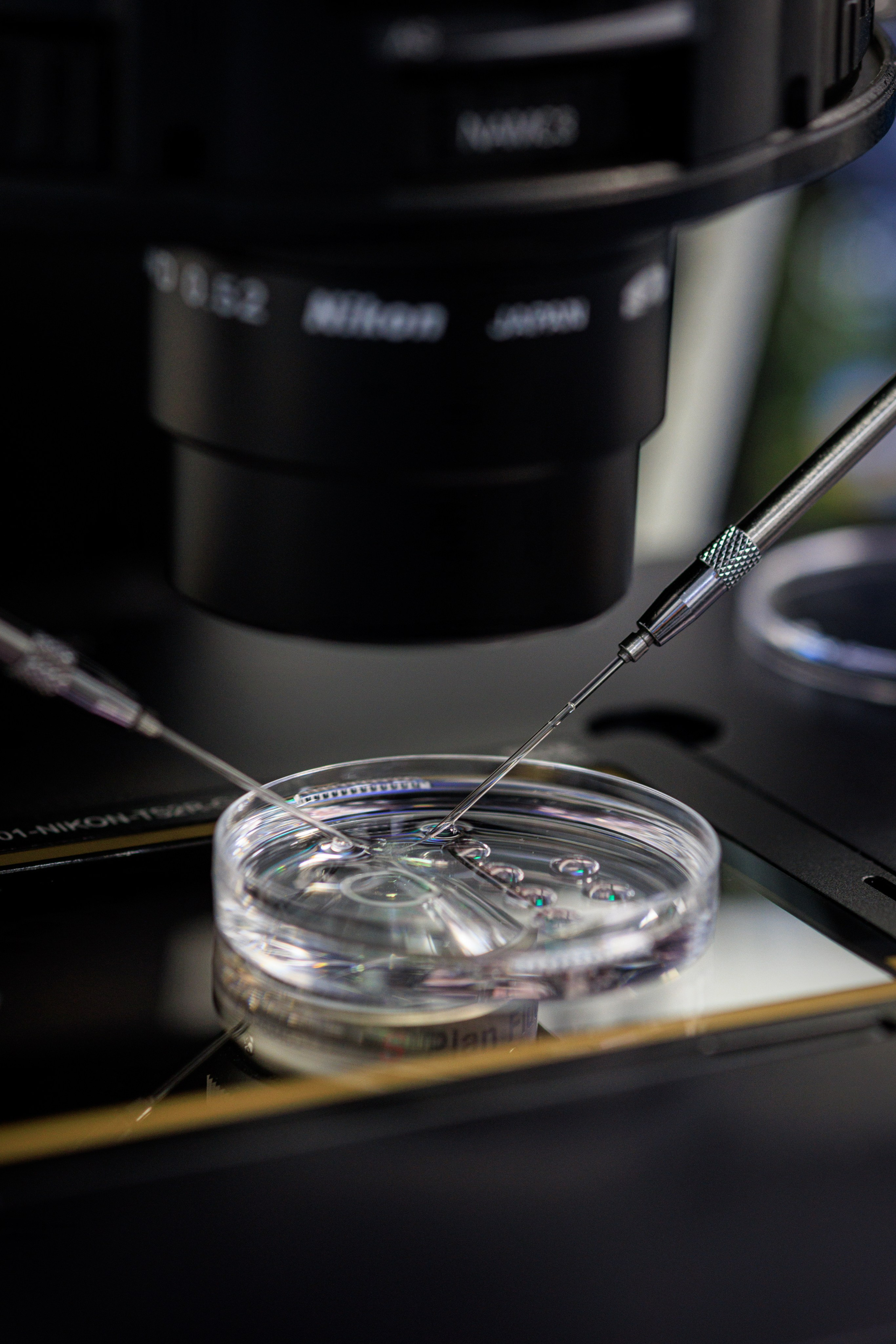 Бизнес-фотограф в Алматы — корпоративные съёмки, деловые портреты и репортажи. Профессиональный фотограф в Алматы