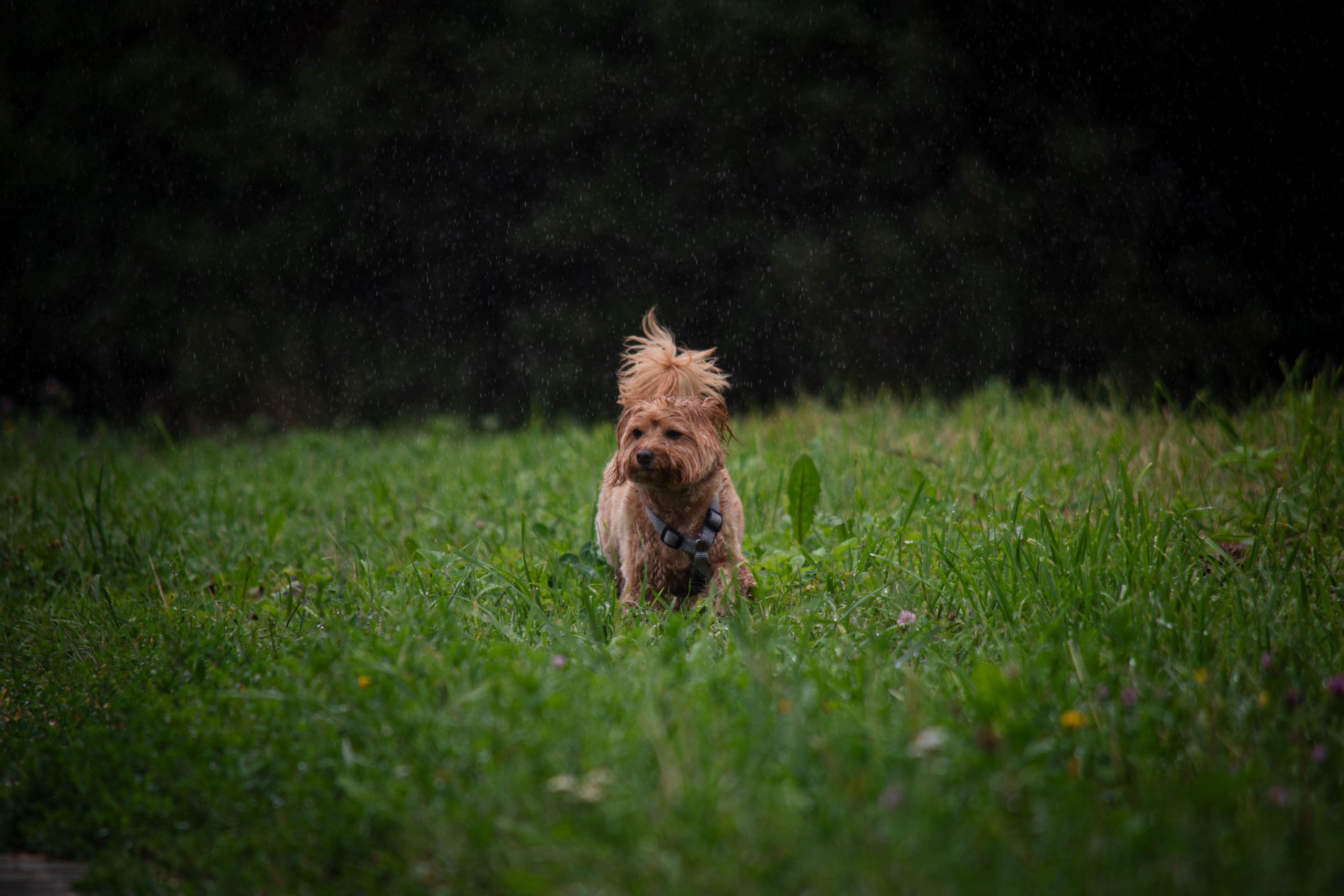 Прогулка в парке Митино. Фотограф Светлана Блинова, Москва и Московская область