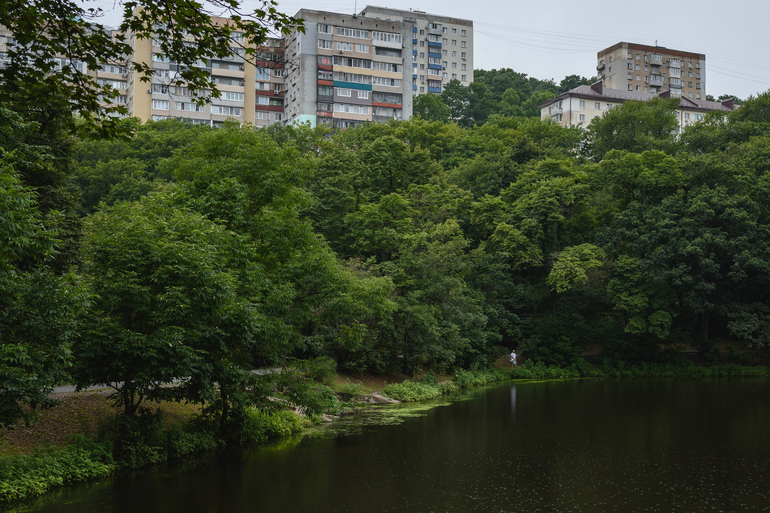 Социальный пейзаж. Документальный фотограф