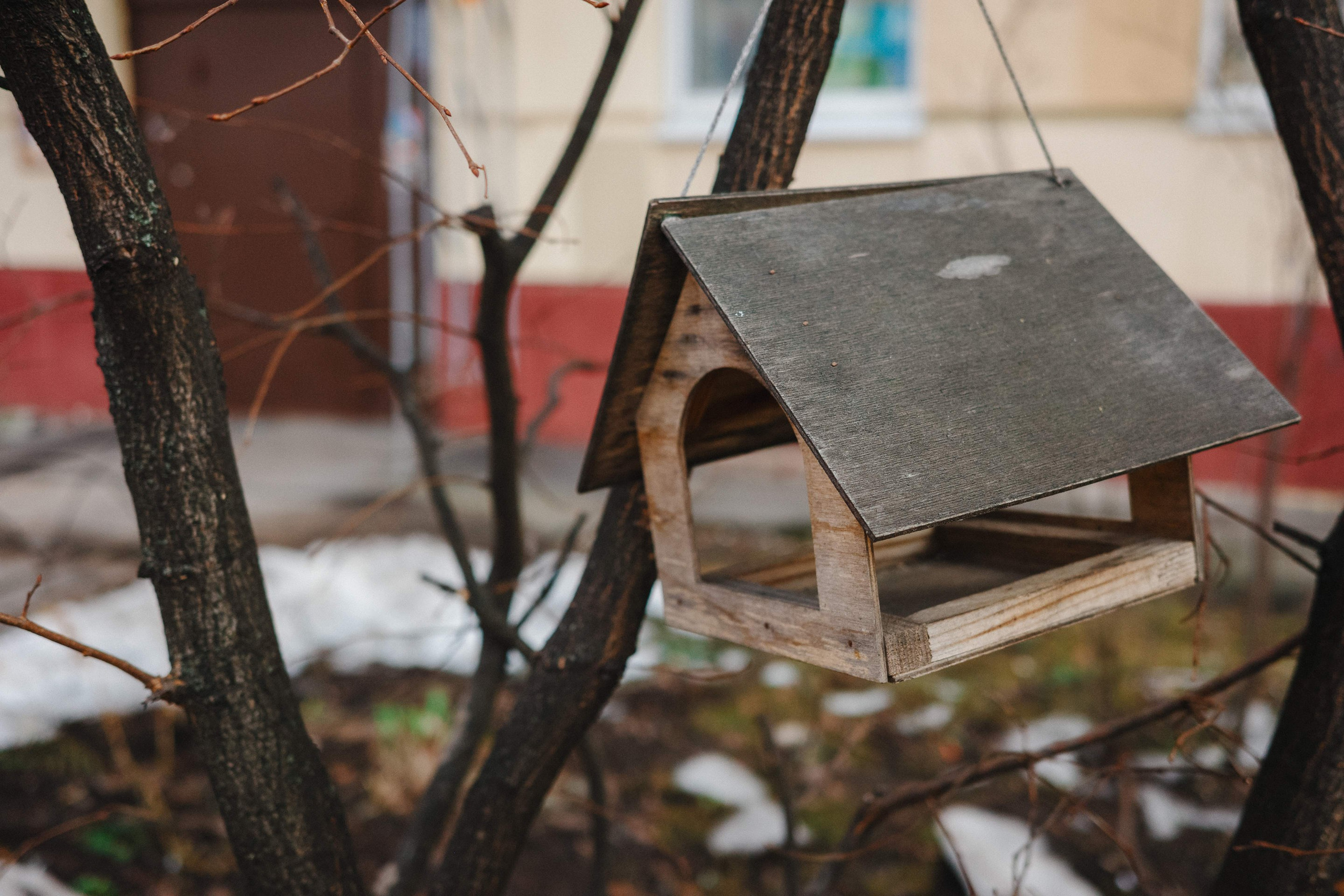 2024.03. Фотограф Алексей Алексеев