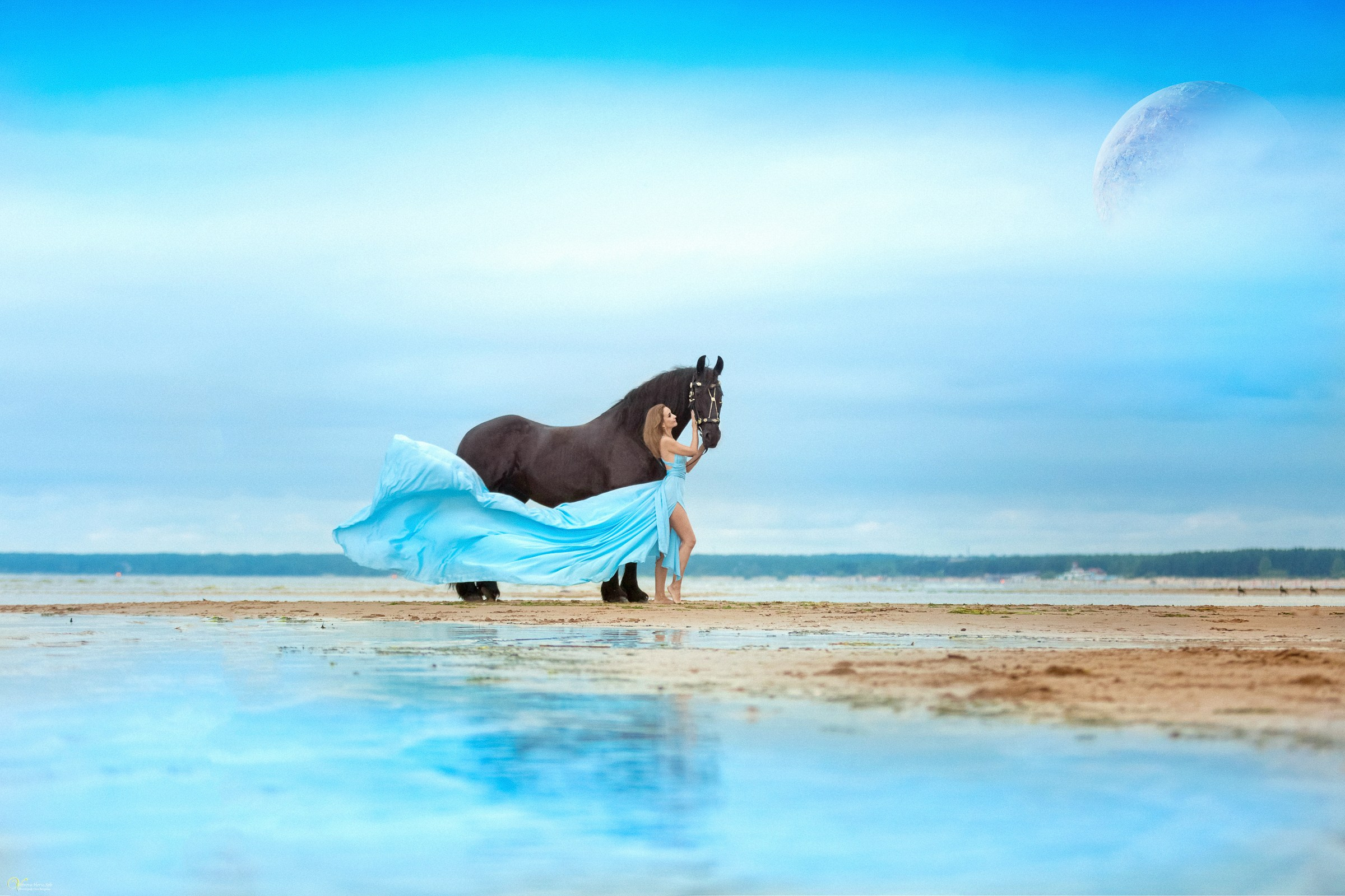 Фотосессии с лошадьми летом. Фотограф женский и мужской портрет Санкт-Петербург