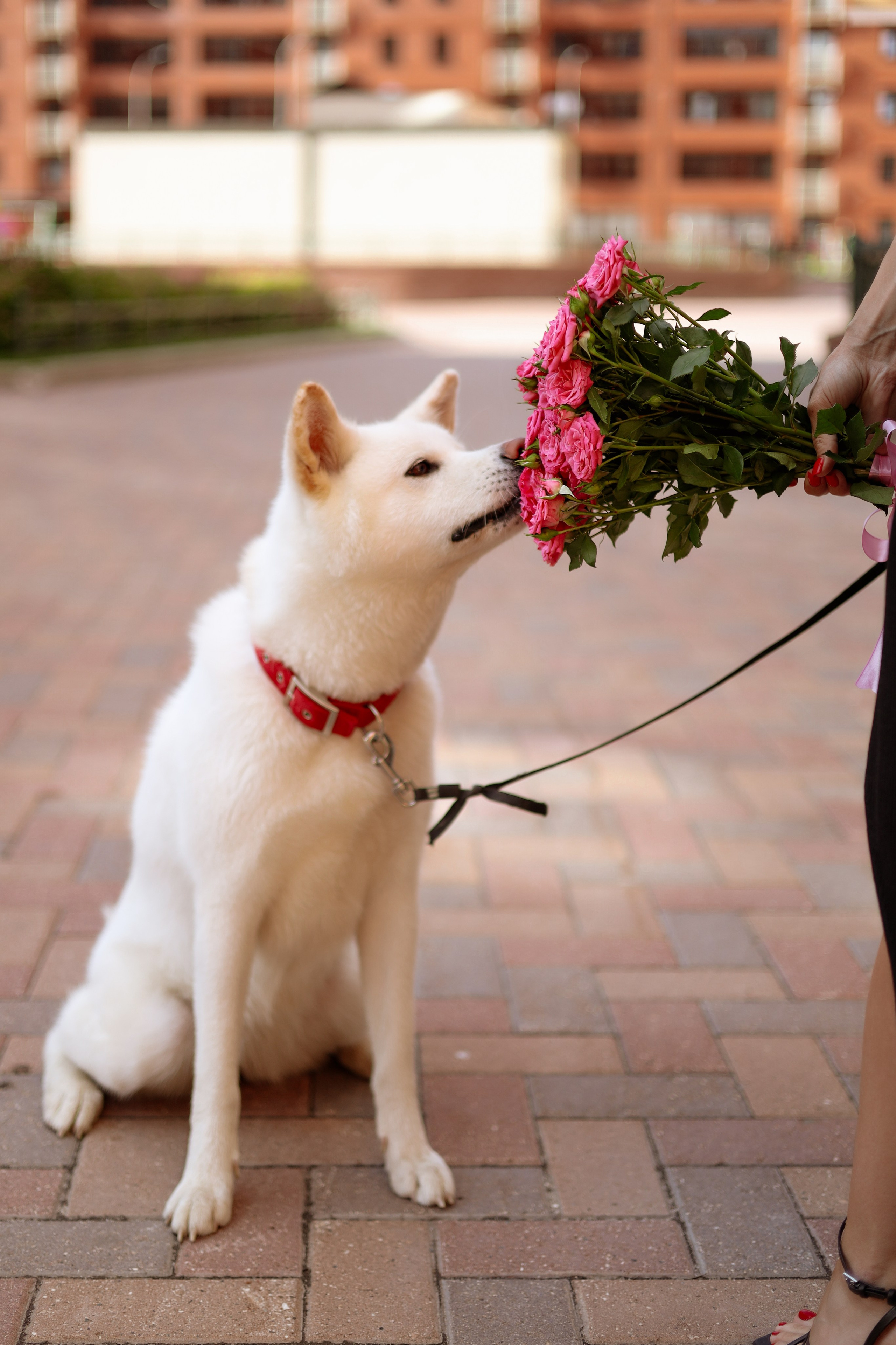M&P. Photographer Tatiana Ivanova in Yaroslavl