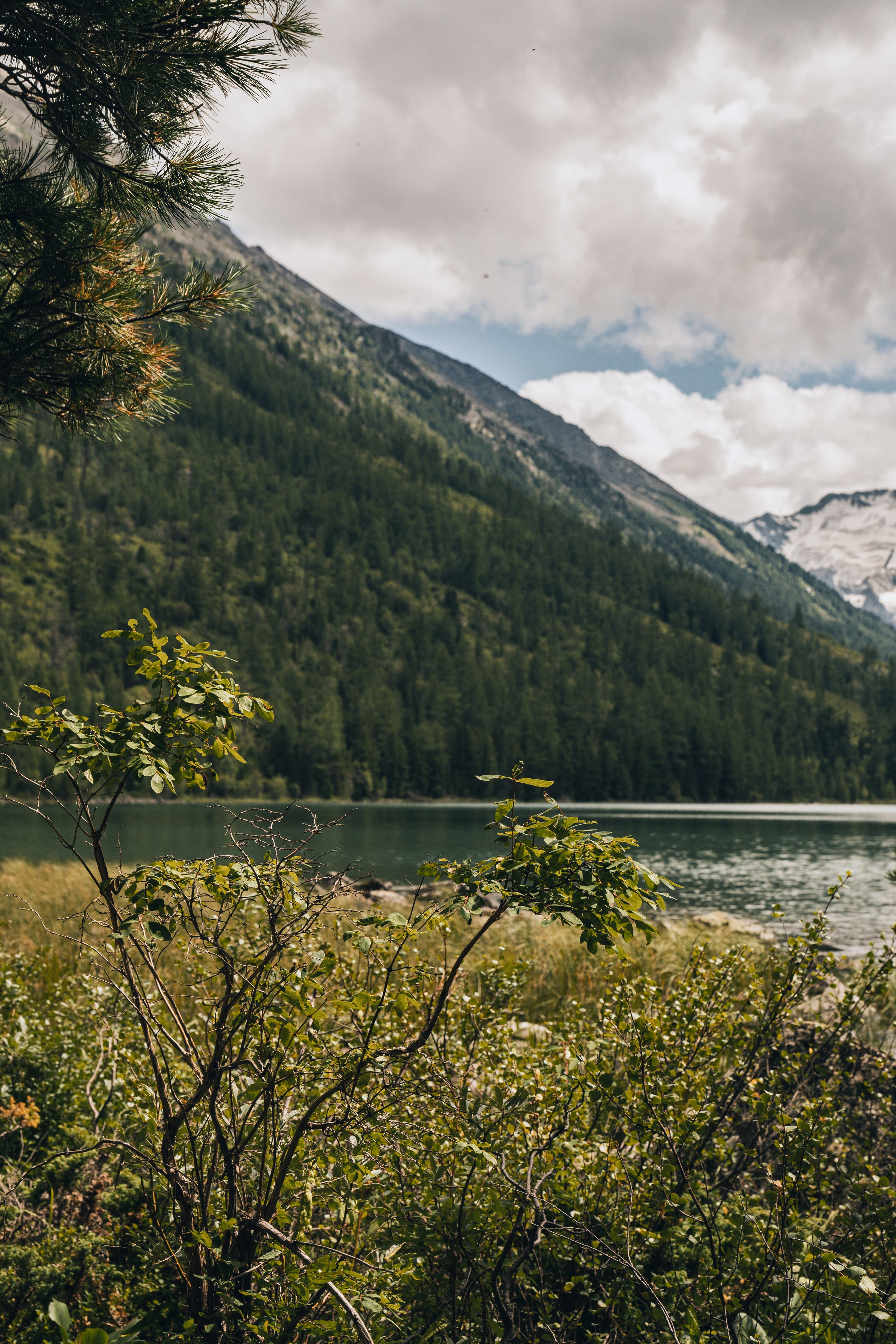 Алтай. Gusarov Travel Photography