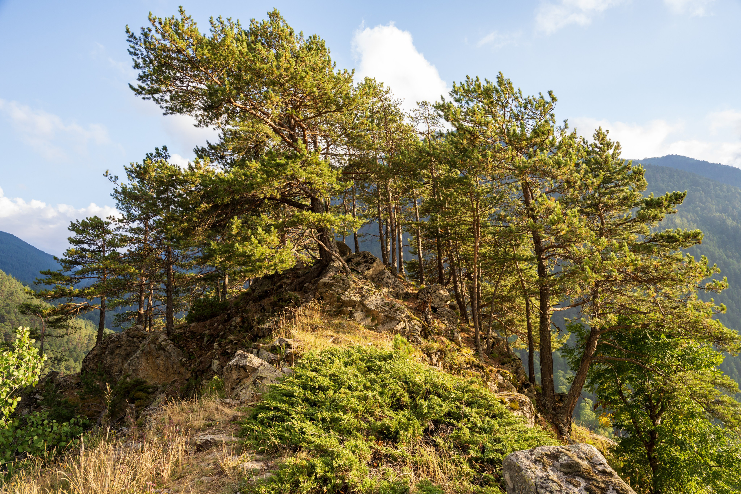 Экспедиция 2025