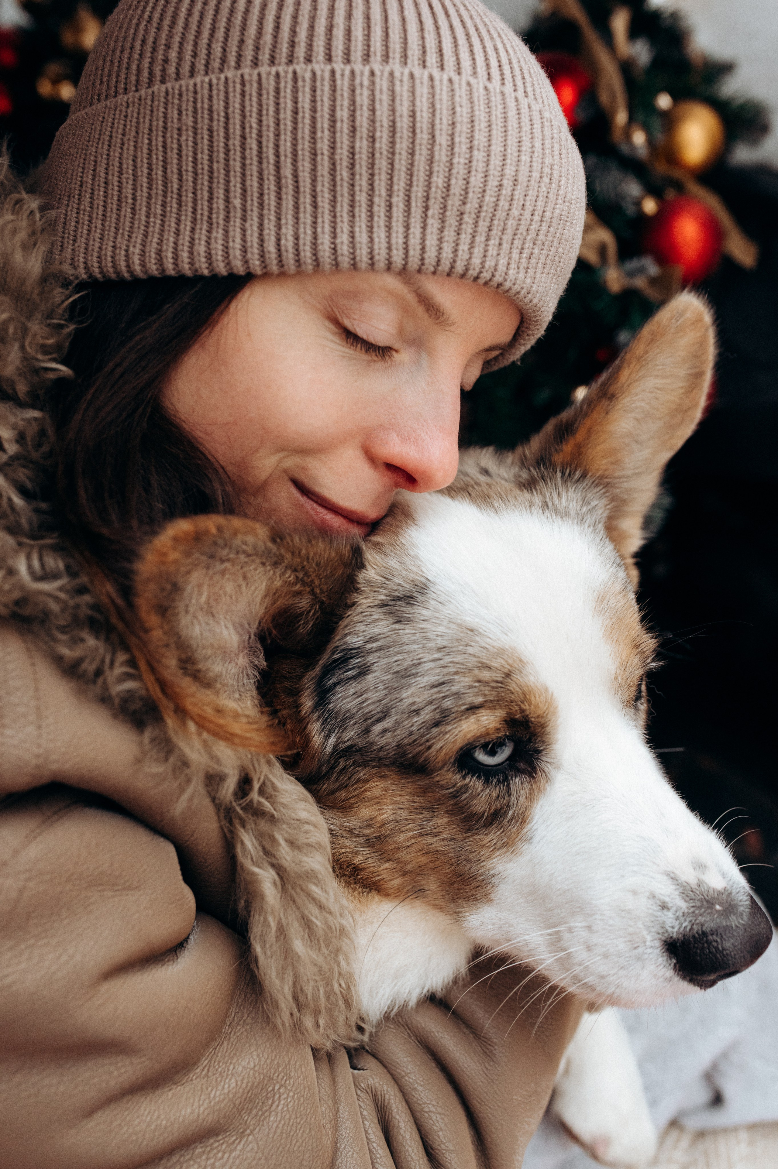Маша и Дэф. Фотограф анималист в Москве Ольга Агушева