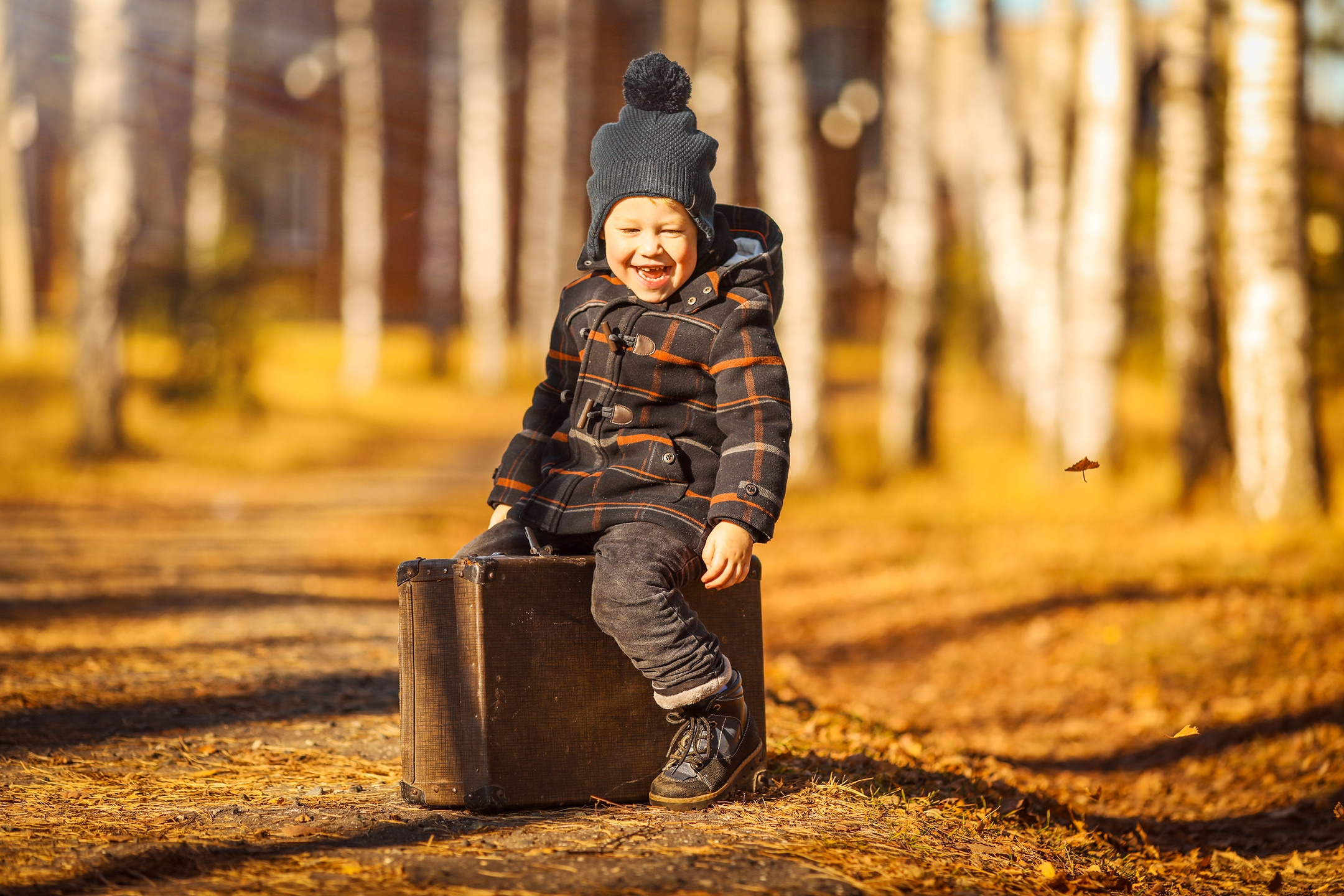 Лев и чемодан. Olga.filippova.photo