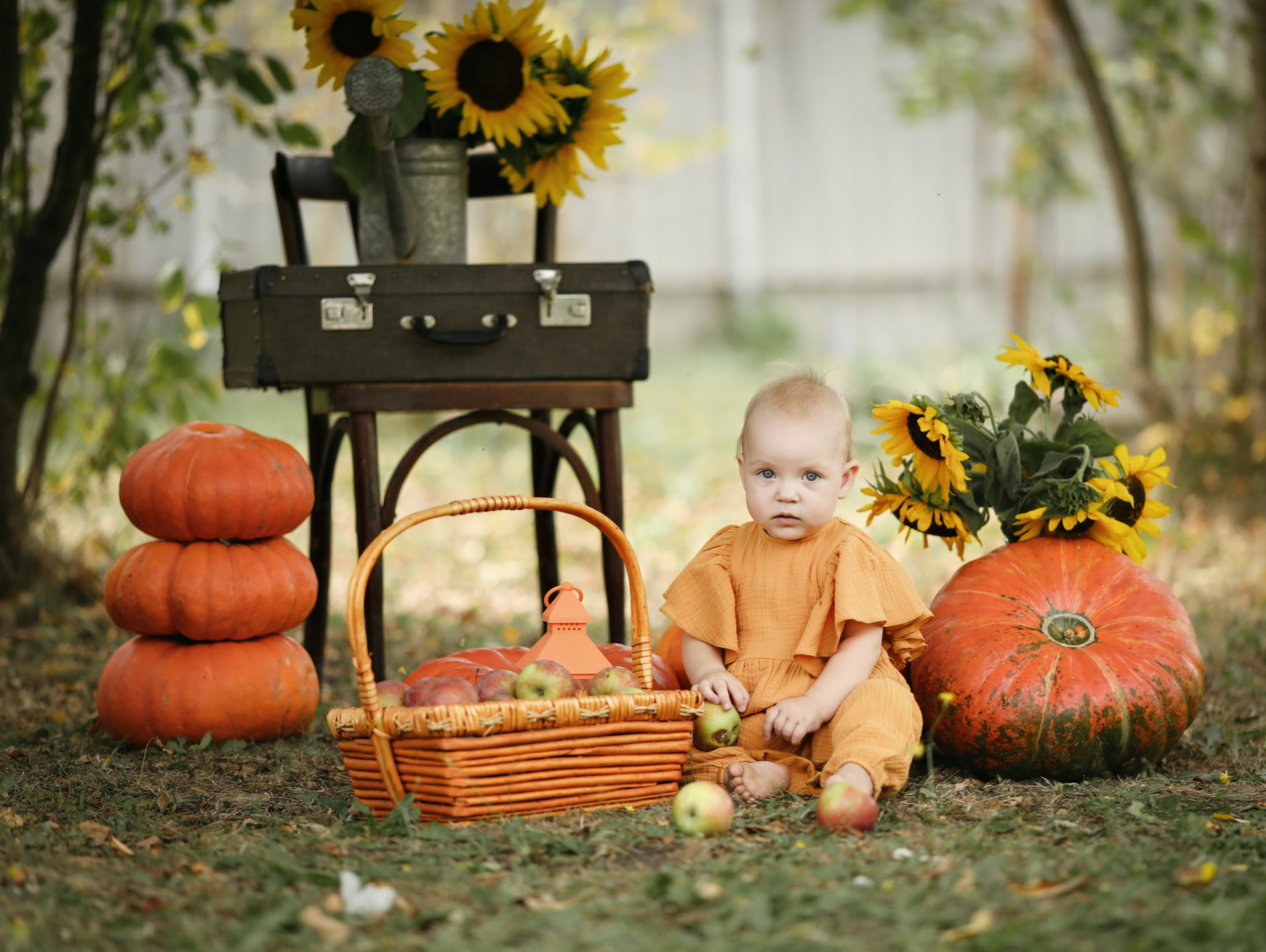 Портфолио. Olga.filippova.photo