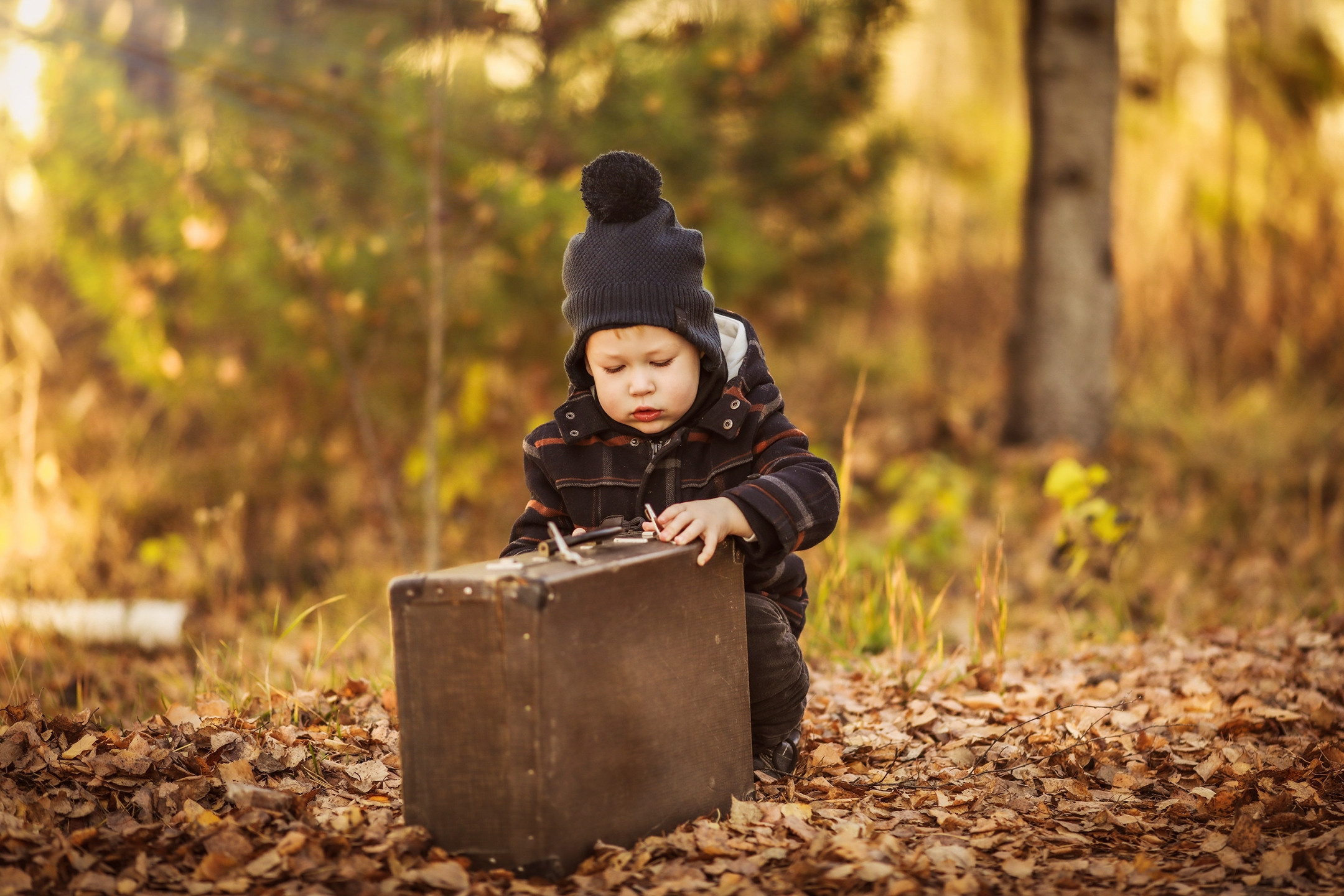 Лев и чемодан. Olga.filippova.photo