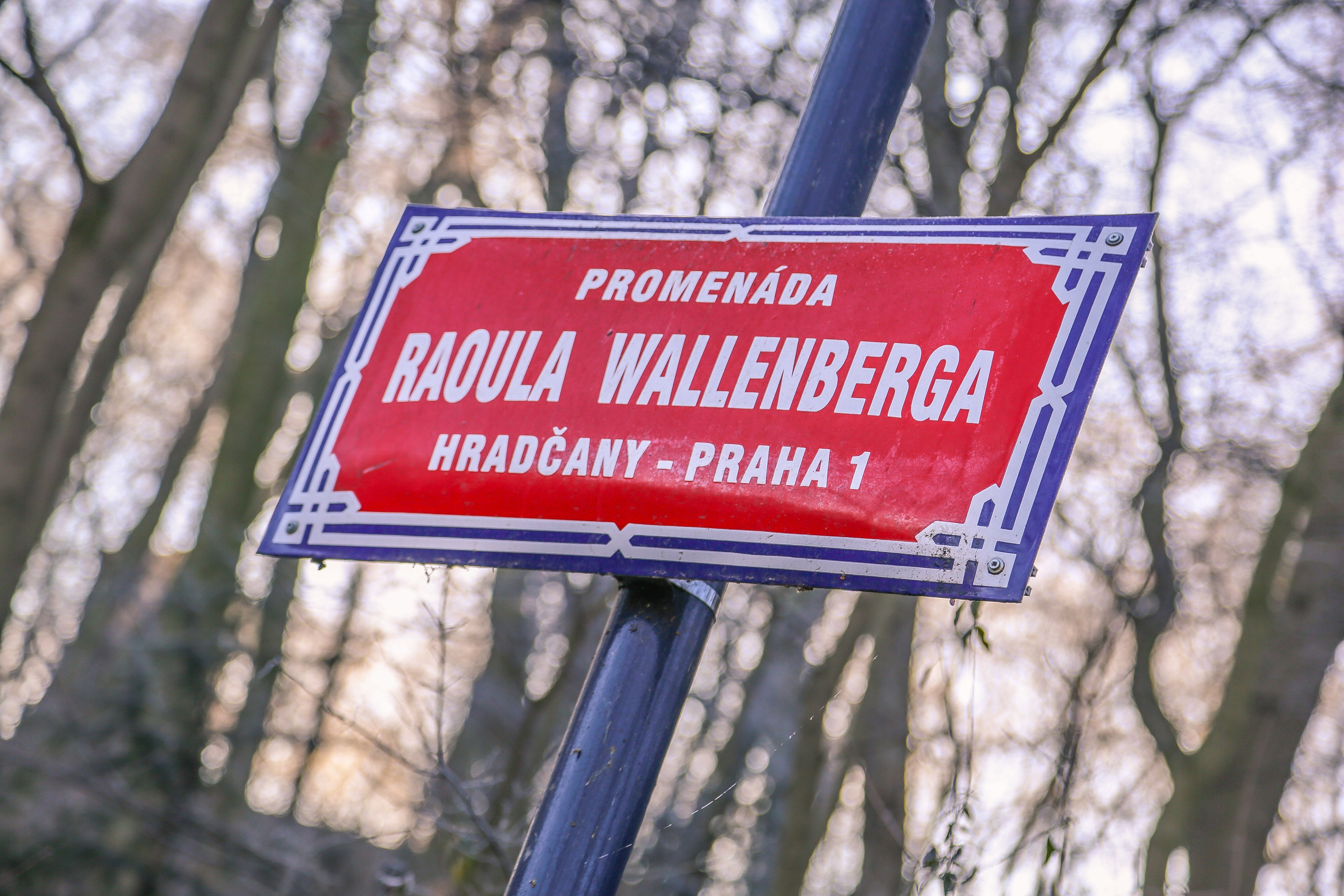 Чехия: Прага. Дарья Письменюк / Darya Leitstern — фотограф, музыкант, журналист, путешественник