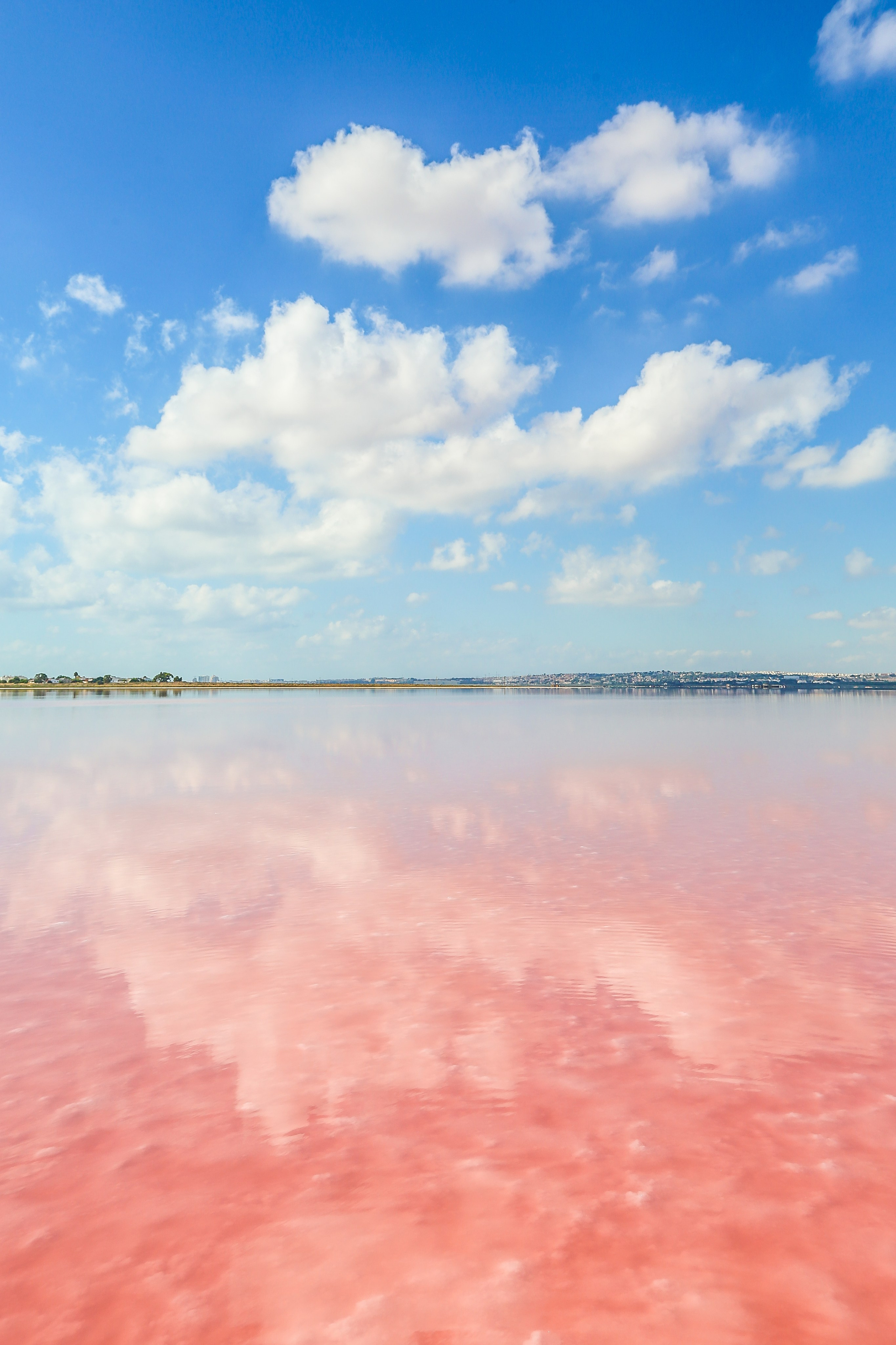 Испания: соленые озера Торревьехи. Дарья Письменюк / Darya Leitstern — фотограф, музыкант, журналист, путешественник