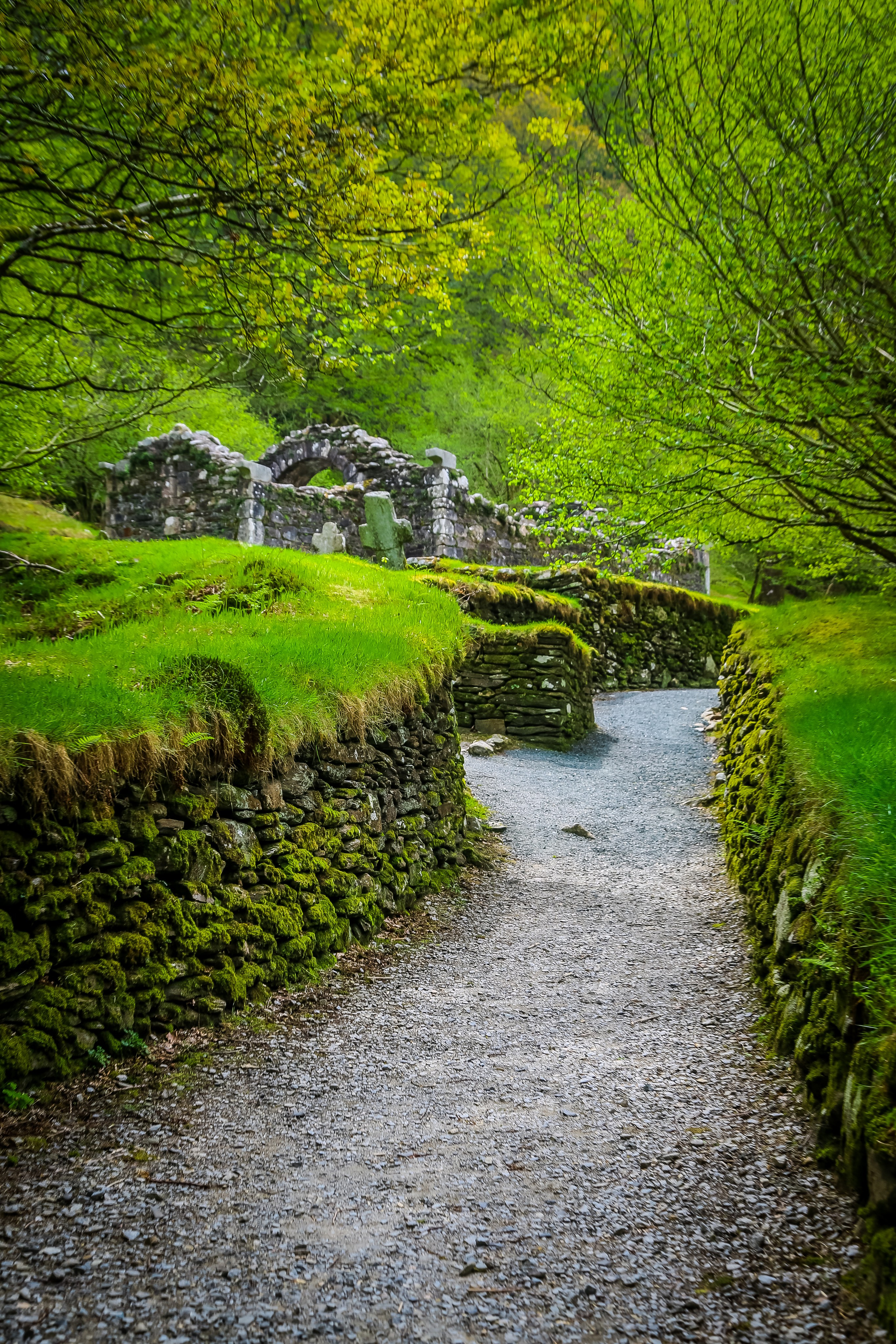 Ирландия: Горы Уиклоу. Дарья Письменюк / Darya Leitstern — фотограф, музыкант, журналист, путешественник