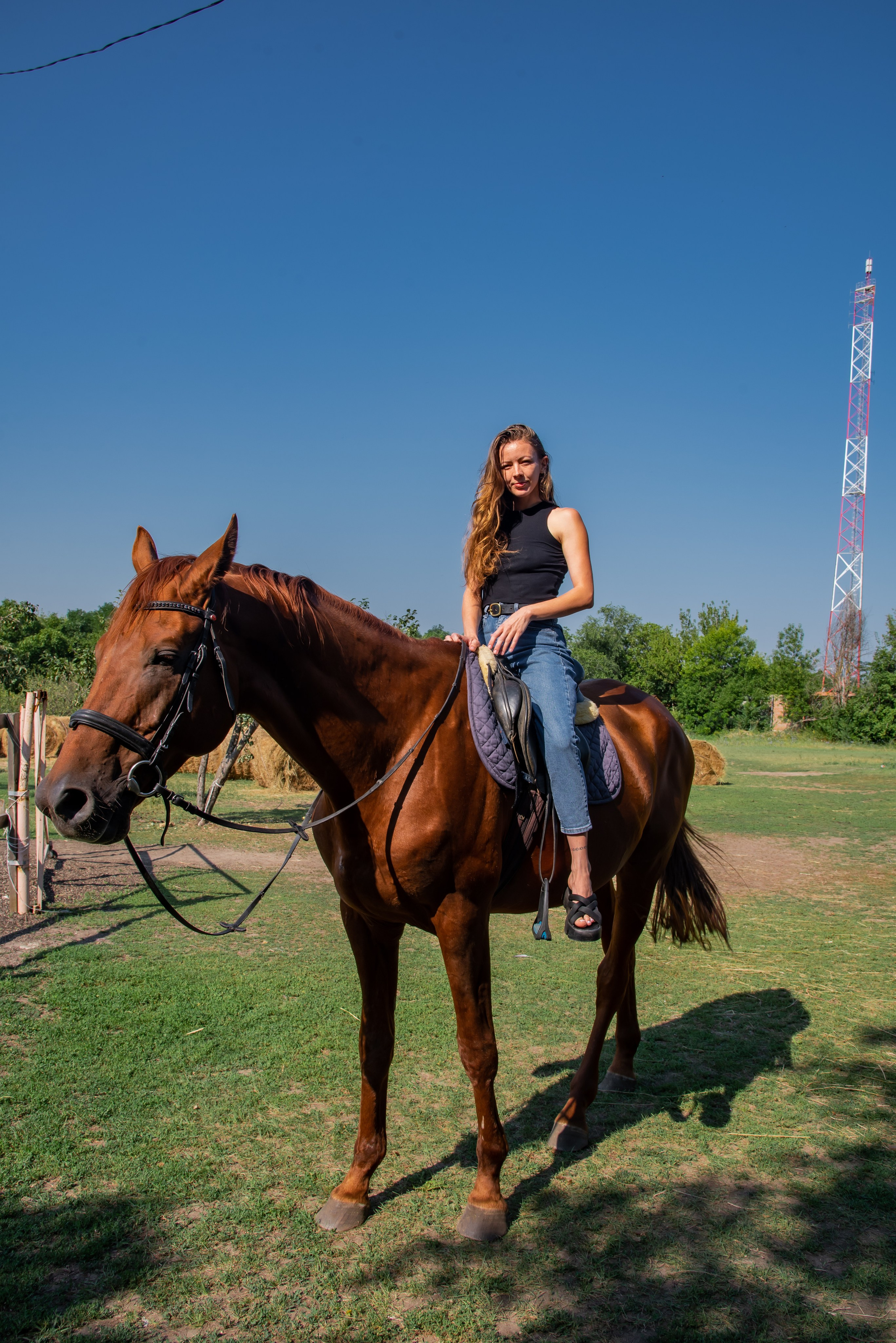 Конная прогулка. Фотограф Галина Нестерова
