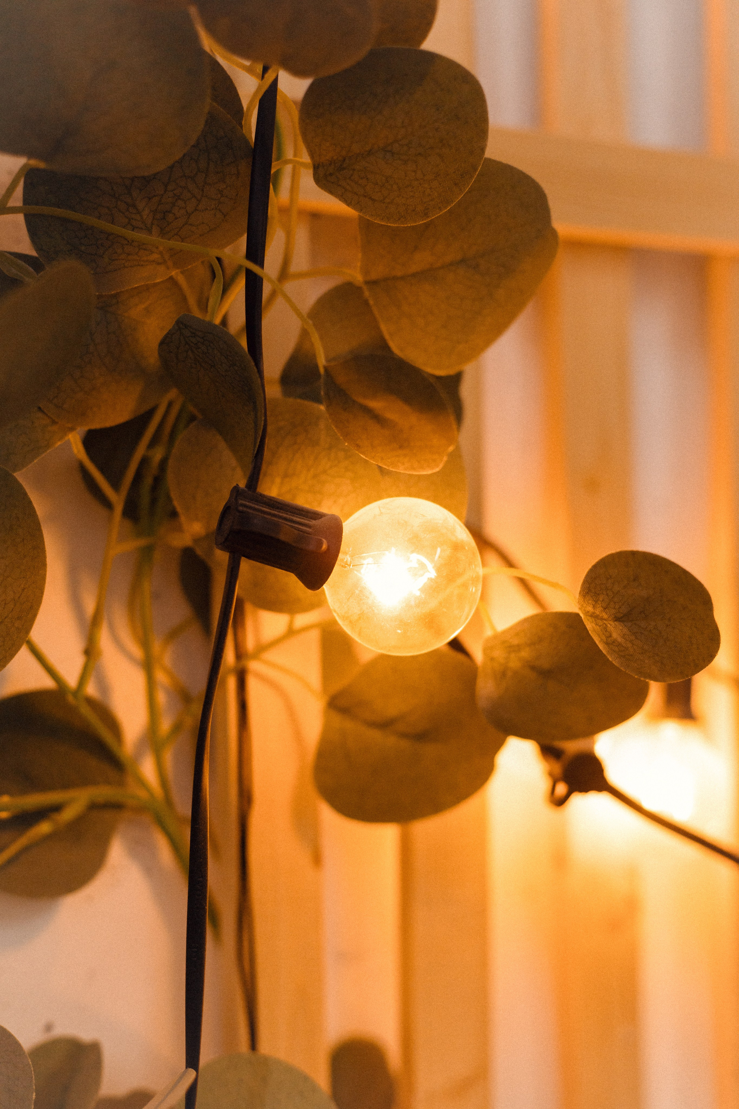 Максим и Юлия. Фотограф свадебных и парных историй Кристина Шакула