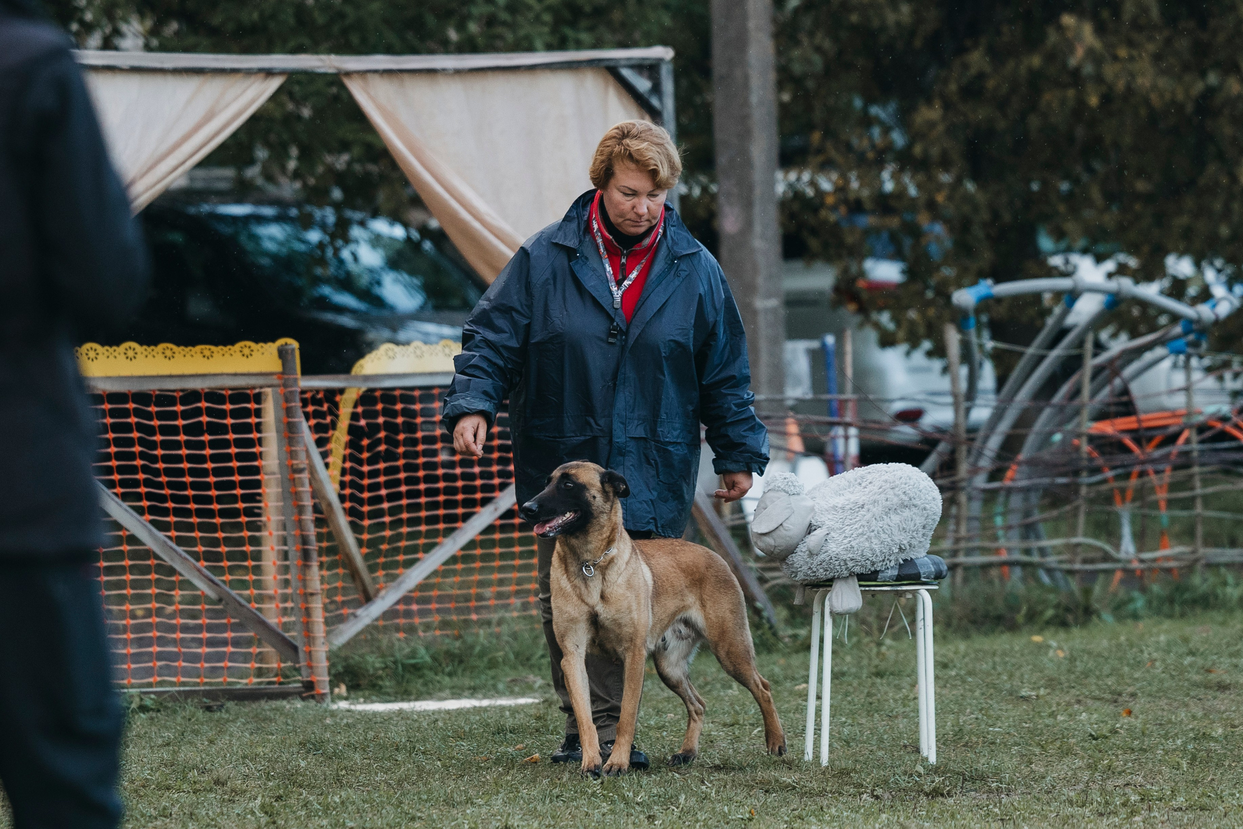 Испытания по мондьорингу г. Пушкин 29.09.2024. Фотограф-анималист Анна Маринич
