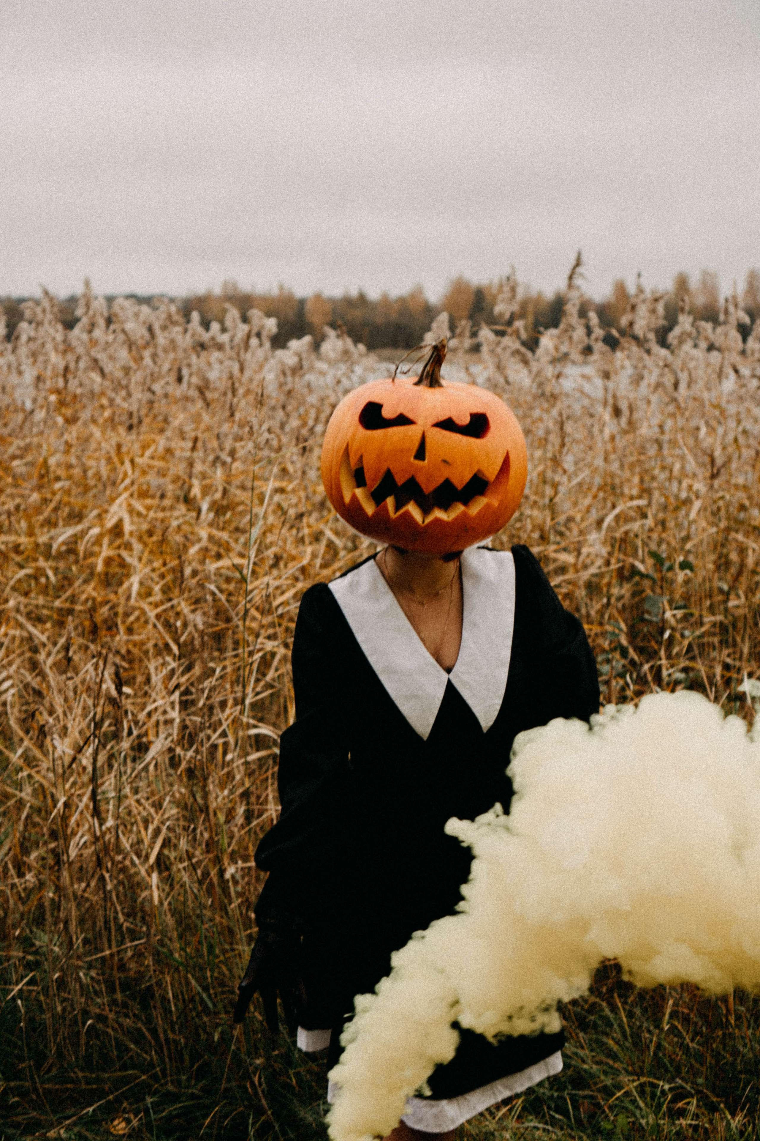 Осеняя. Профессиональный фотограф, Санкт-Петербург — Виктория Богомолова