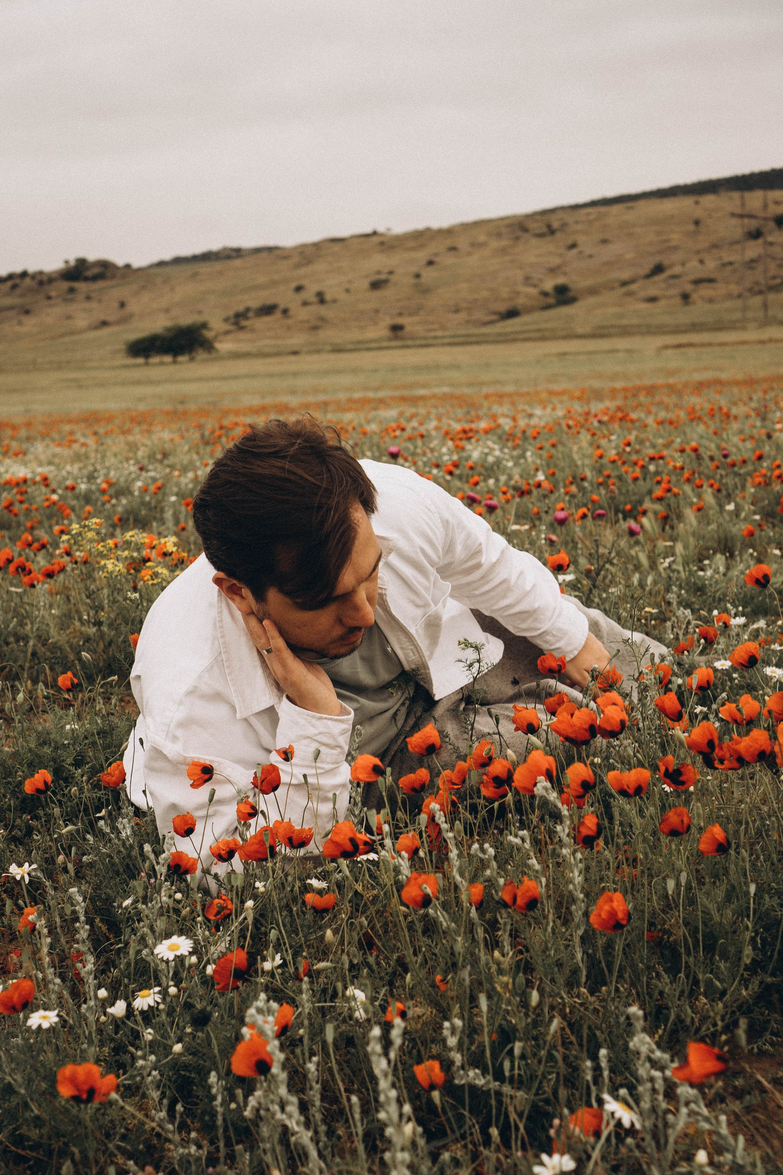 Маки. Профессиональный фотограф, Санкт-Петербург — Виктория Богомолова
