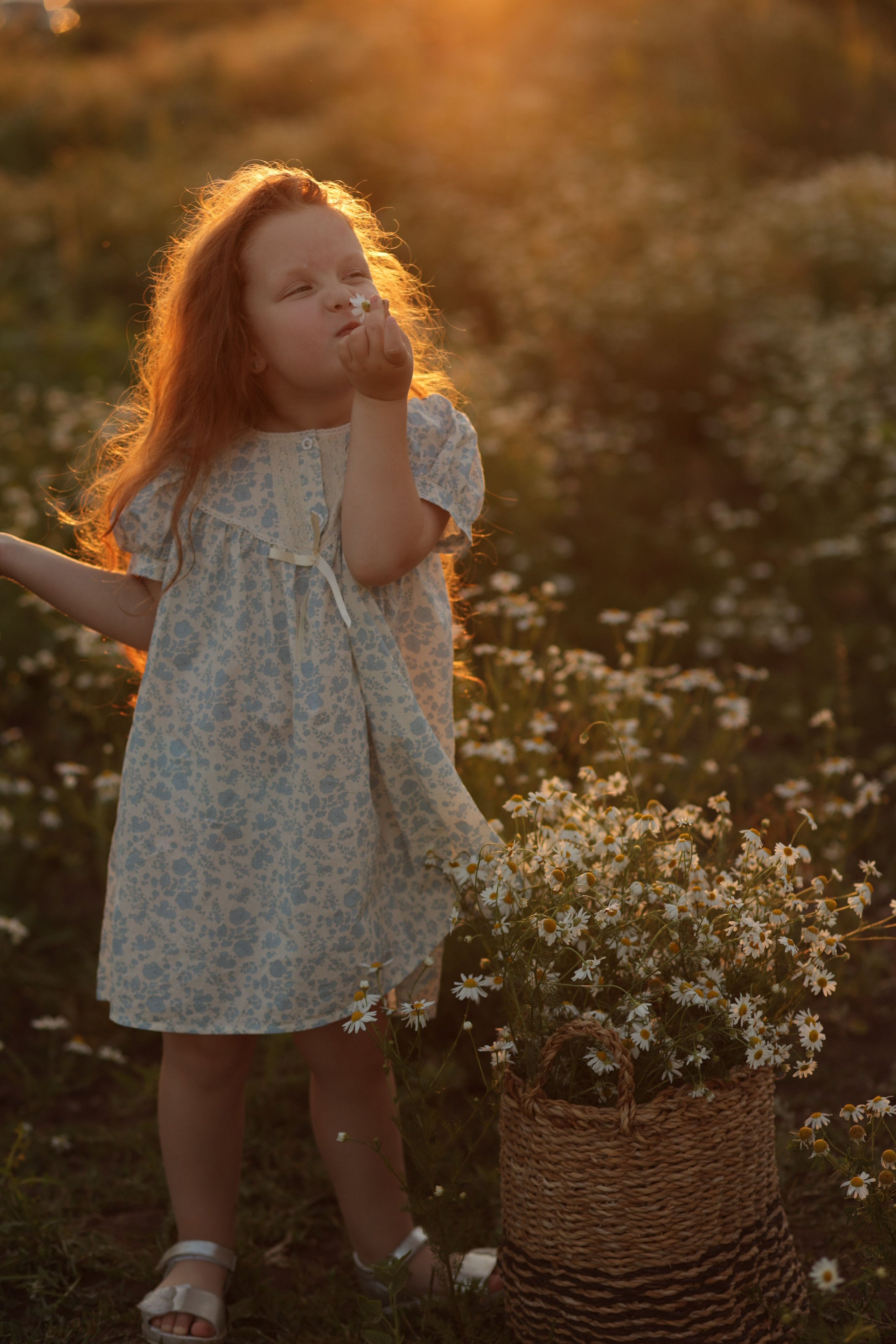 Девчонки в ромашках. Семейный фотограф в Саратове Юлия Охотникова