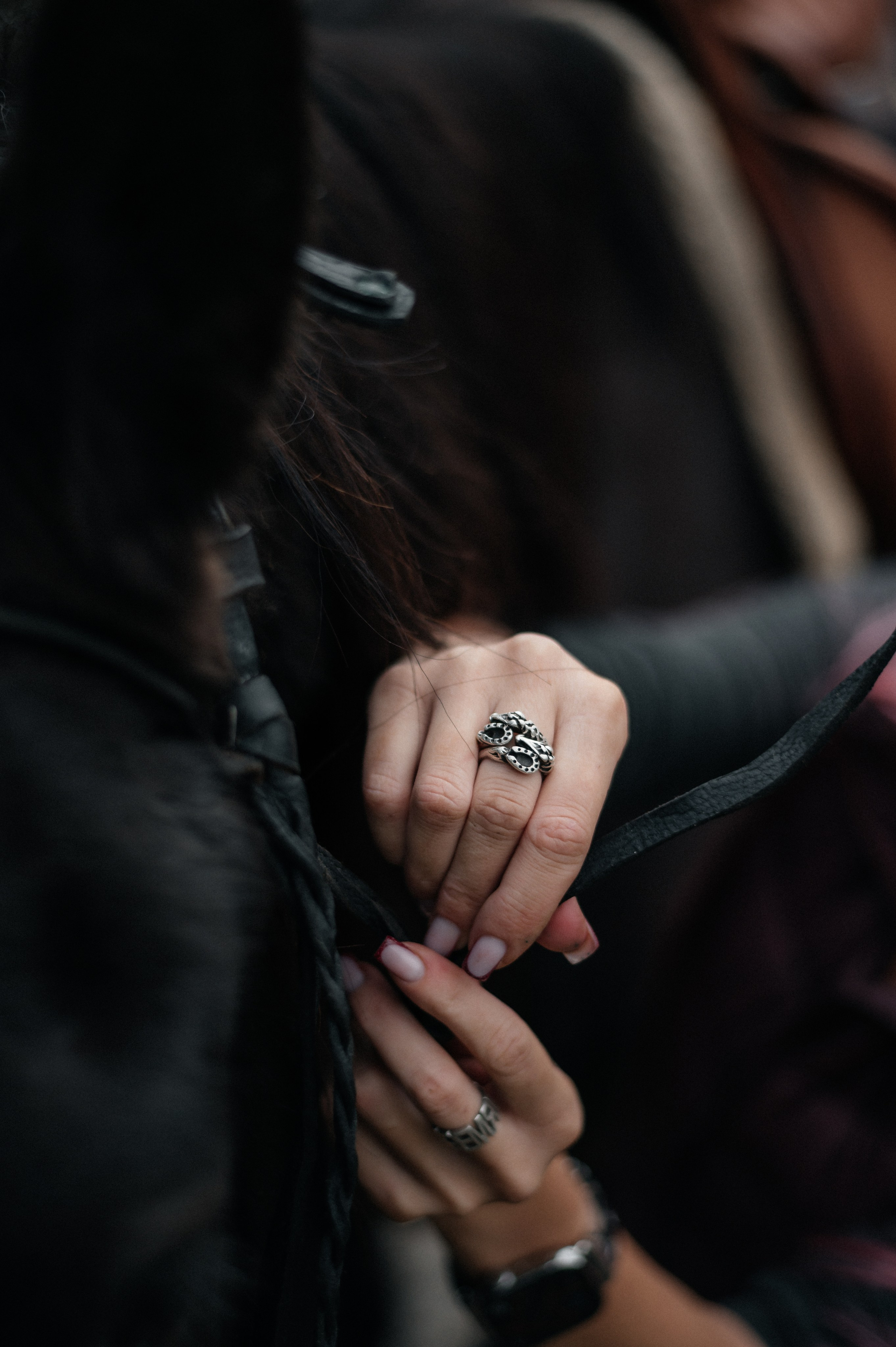 Из Швейцарии на конюшню в Сочи. Фотограф Сергей Суслов | Сочи