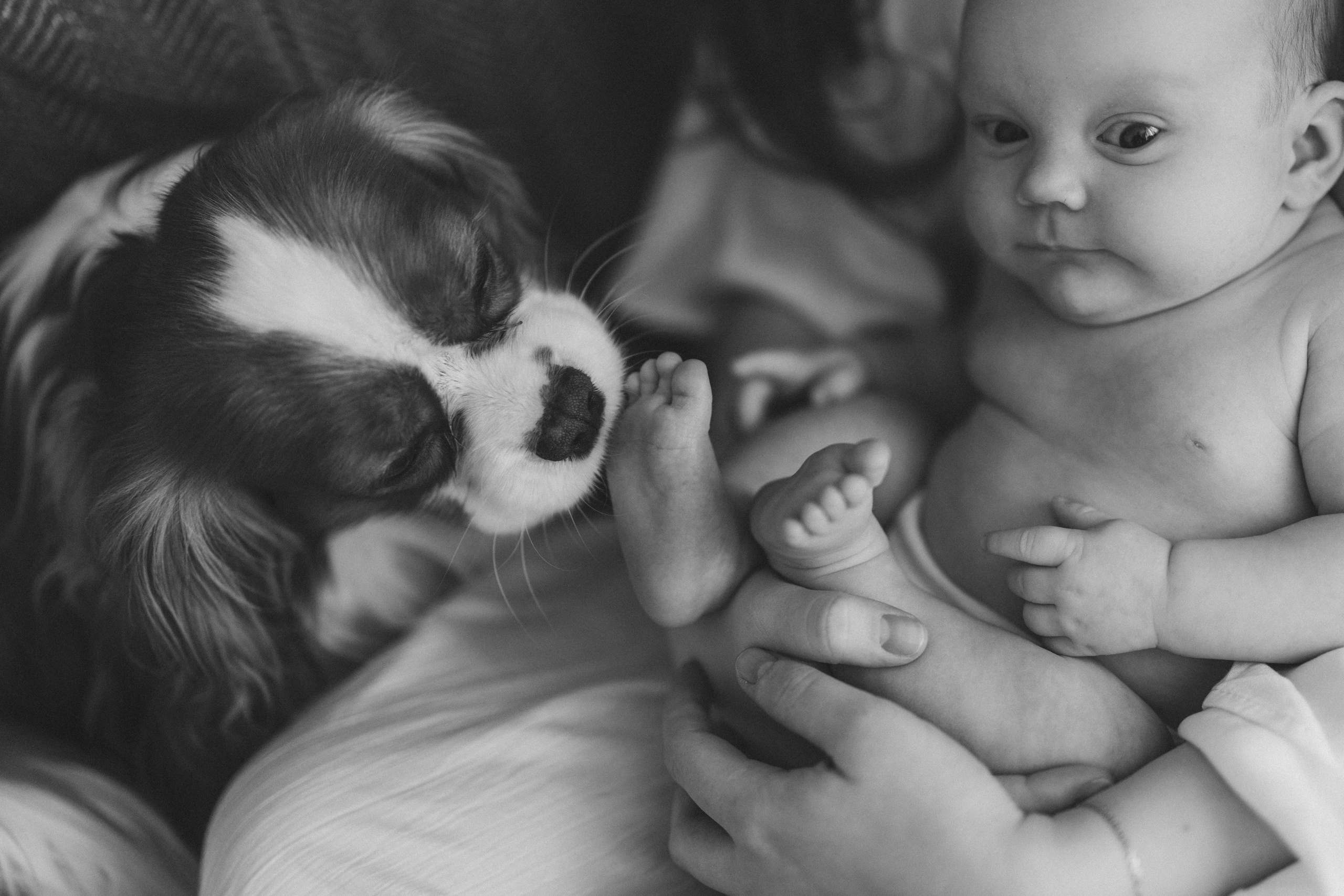 Аня, Ефим, Лимон. Семейный фотограф Оля Гладченко