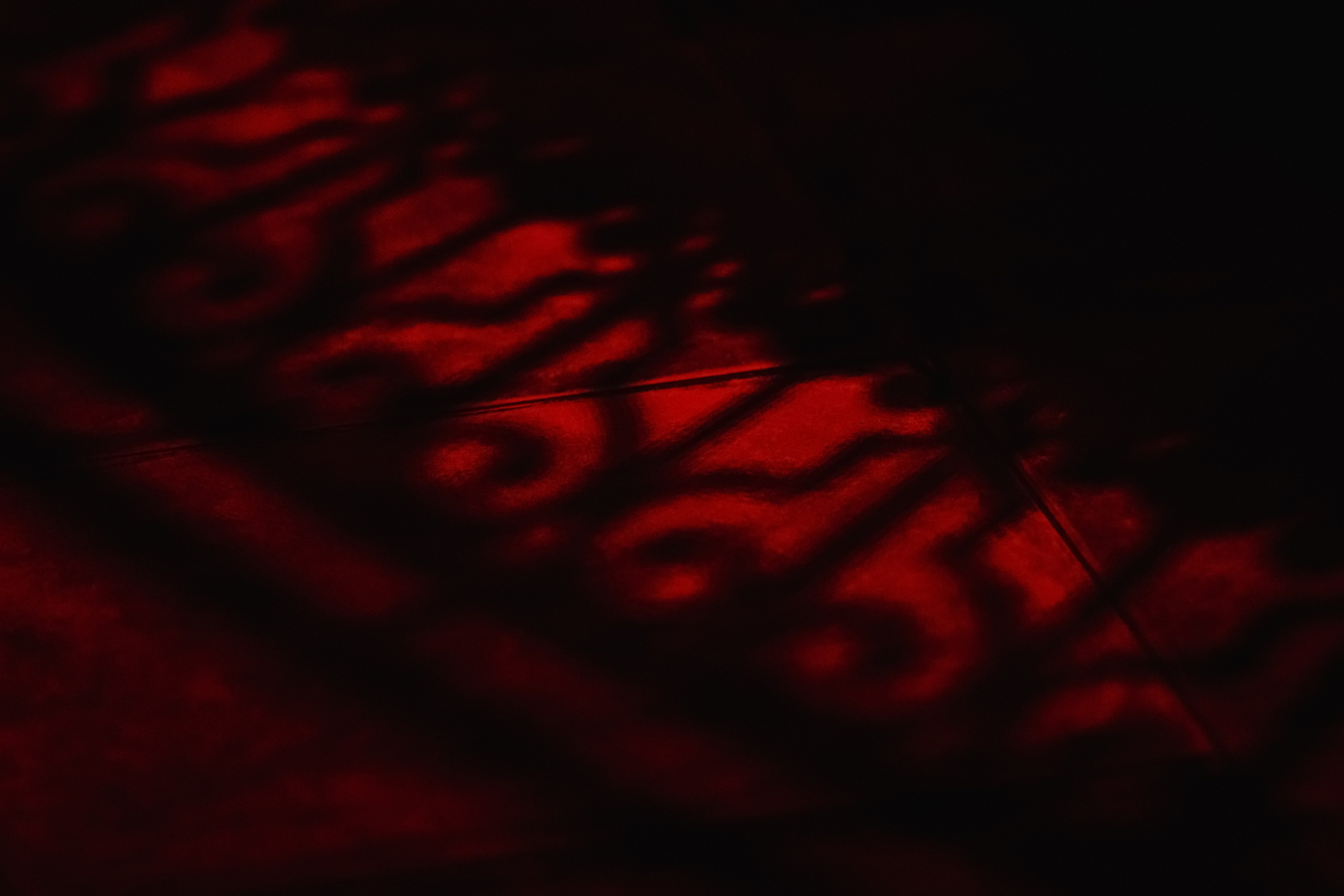 НАСТЯ СИБРИНА. Фотограф Елена Богачева (lenalena_na_na_na)