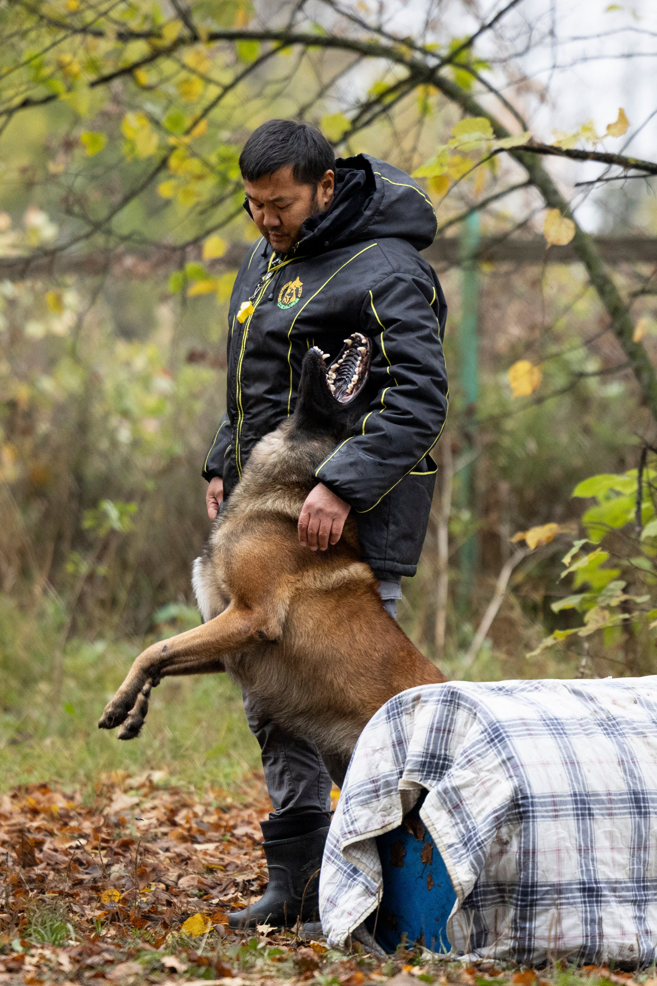 Соревнования по Мондьорингу г. Вологда. Фотограф-анималист Анна Маринич