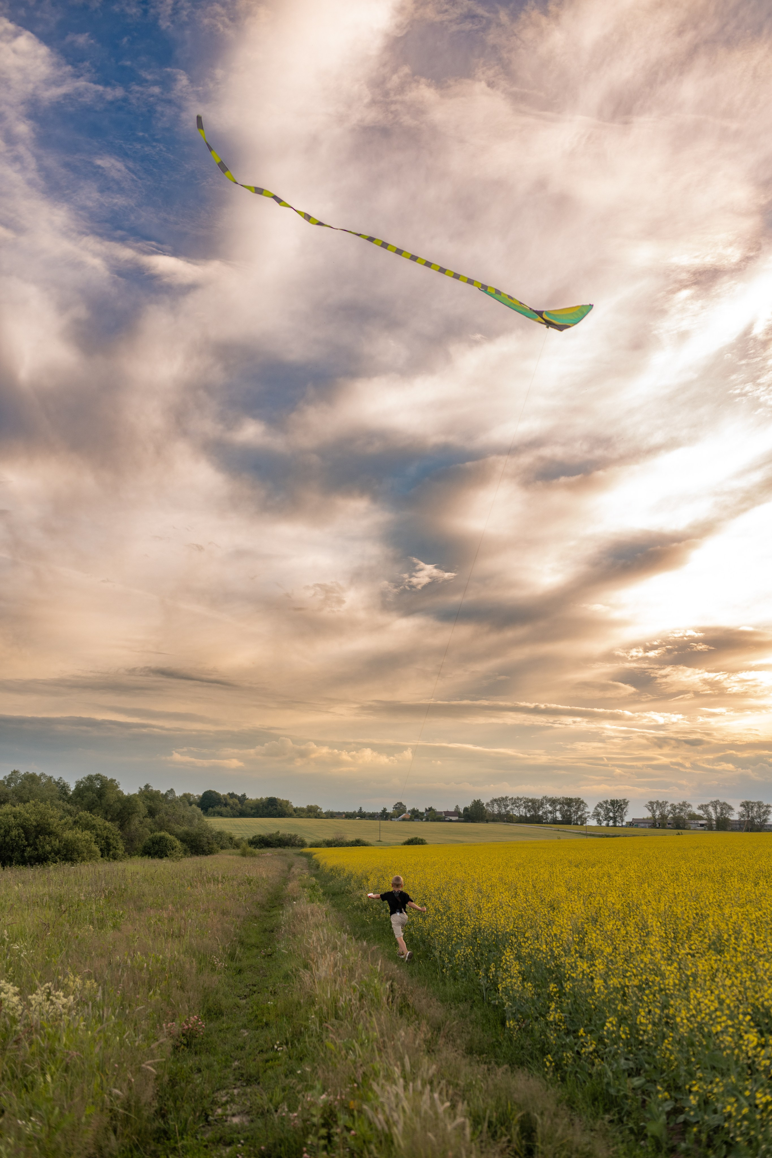 С воздушным змеем. Фотограф в Москве/Зарайске Шахова Марина