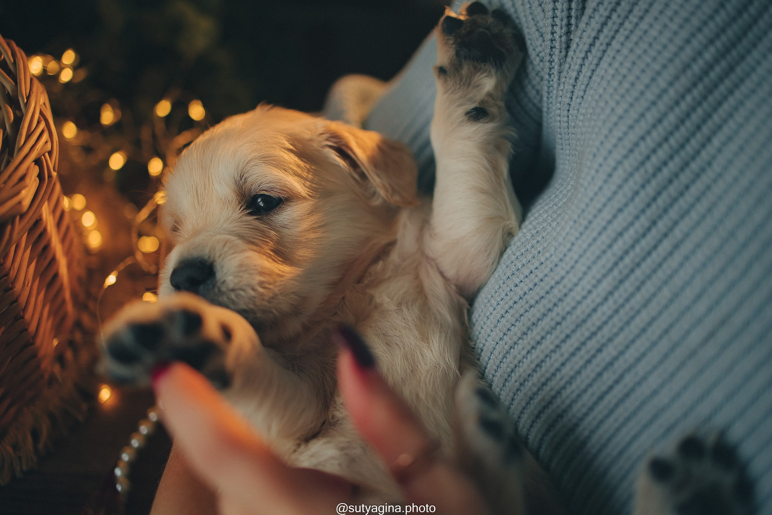 Фиолетовая лента. Свадебный и женский фотограф