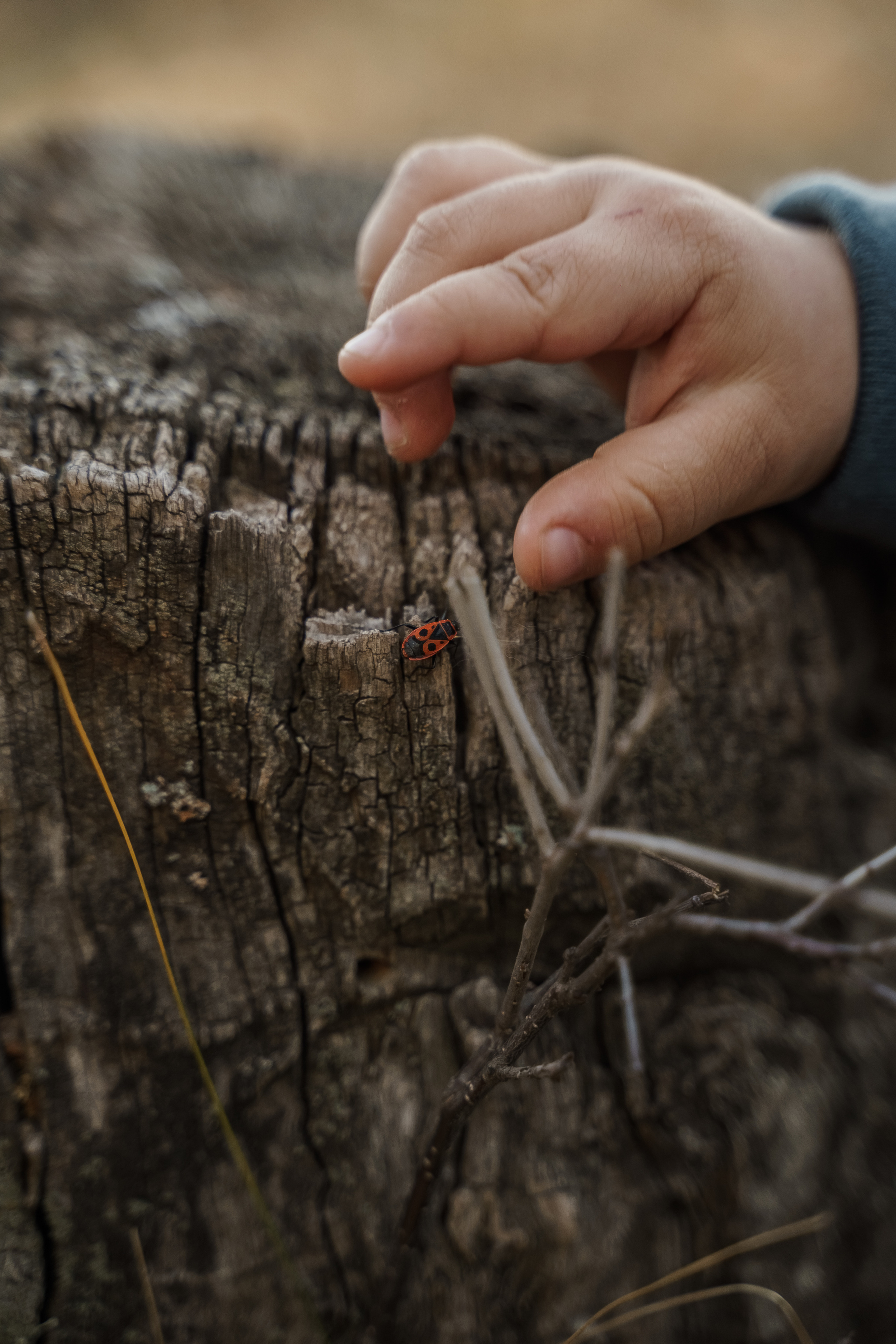 Рустем, Кристина и Демид. Свадебный семейный фотограф Ксения Божко Уфа Раевка никах в Нарыстау