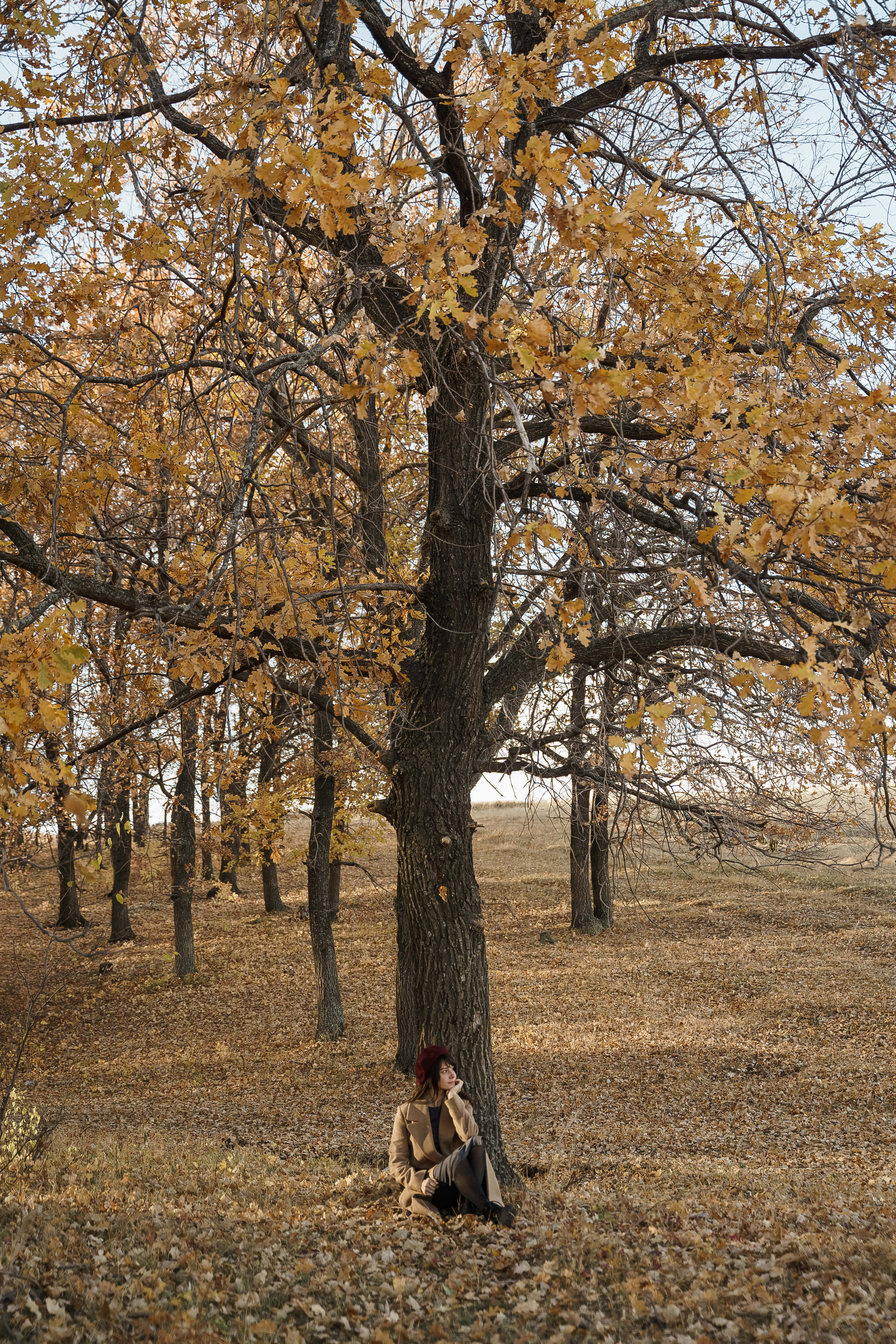 Рустем, Кристина и Демид. Свадебный семейный фотограф Ксения Божко Уфа Раевка никах в Нарыстау